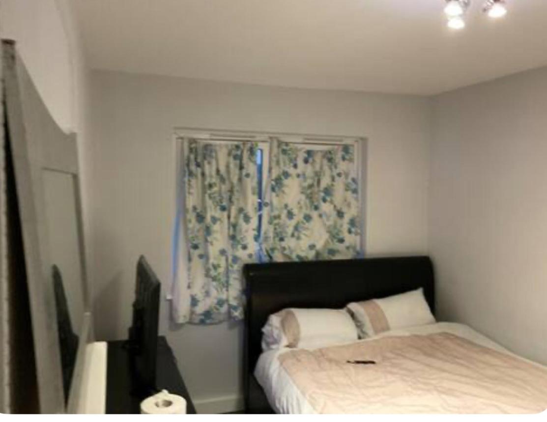 King Room photo 1