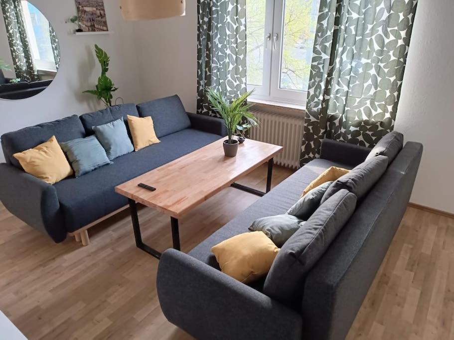 One-Bedroom Apartment photo 3