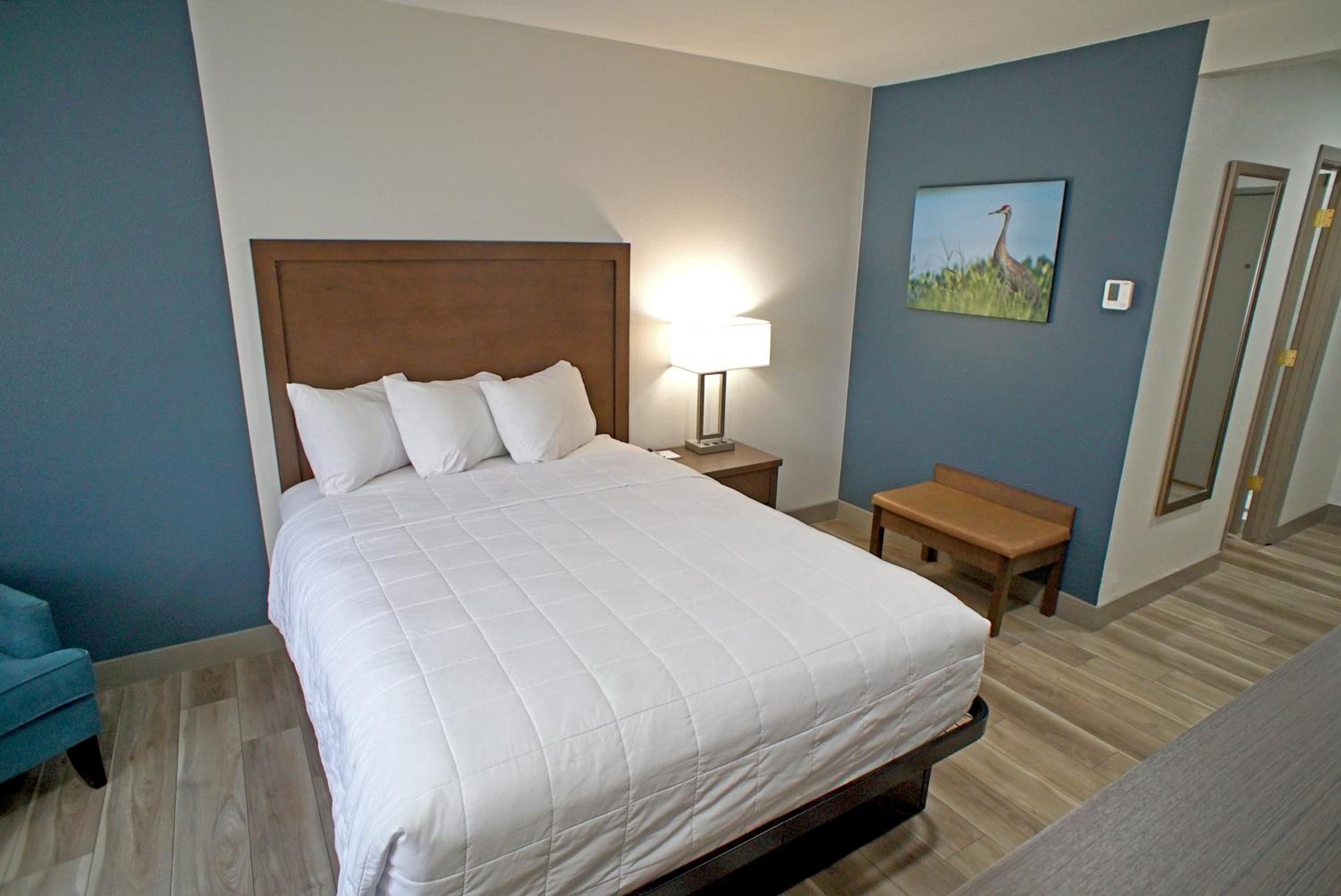 Queen Room - Non-Smoking - Photo 8