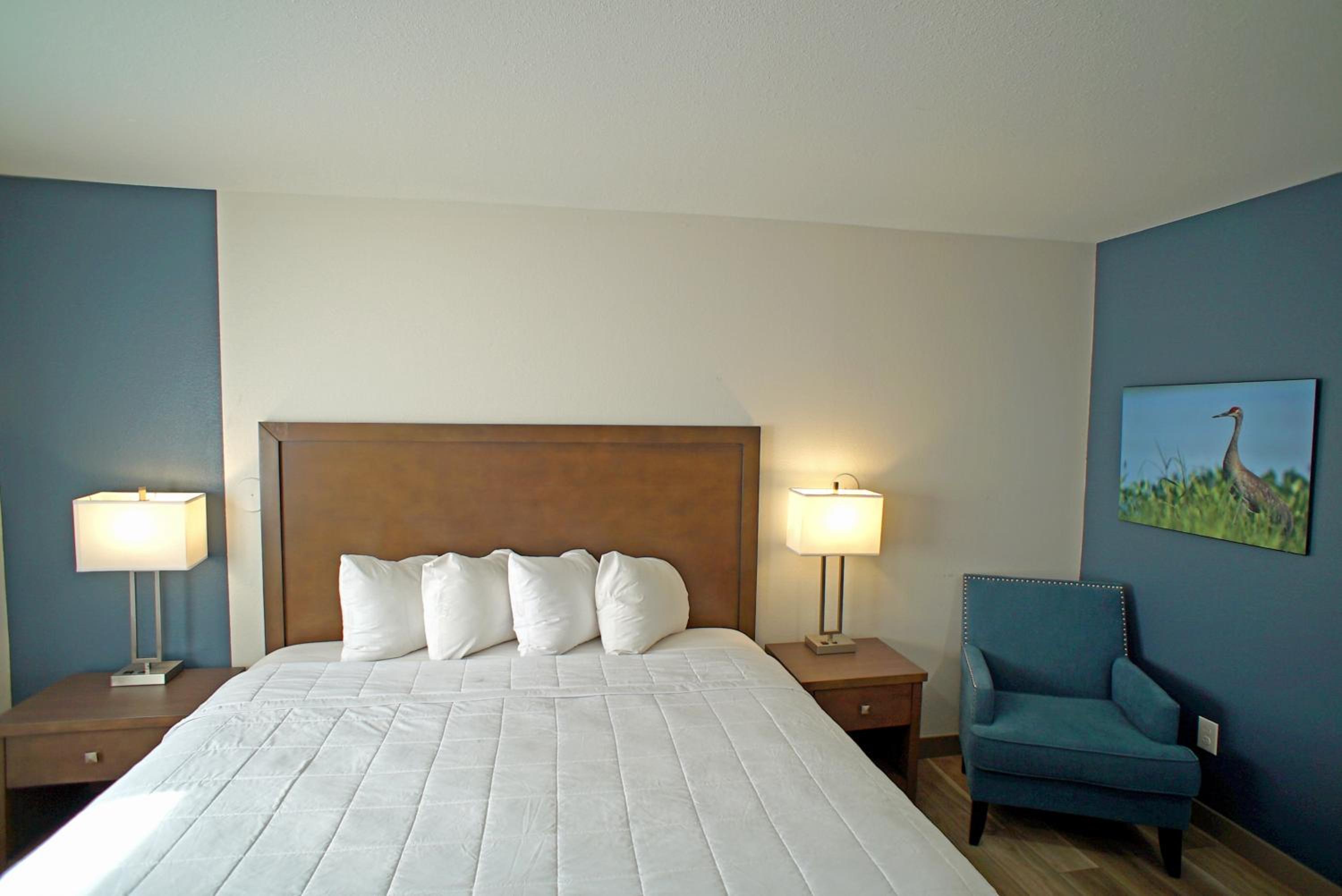 King Room with Roll-in Shower - Mobility Access/Non-Smoking - Photo 7