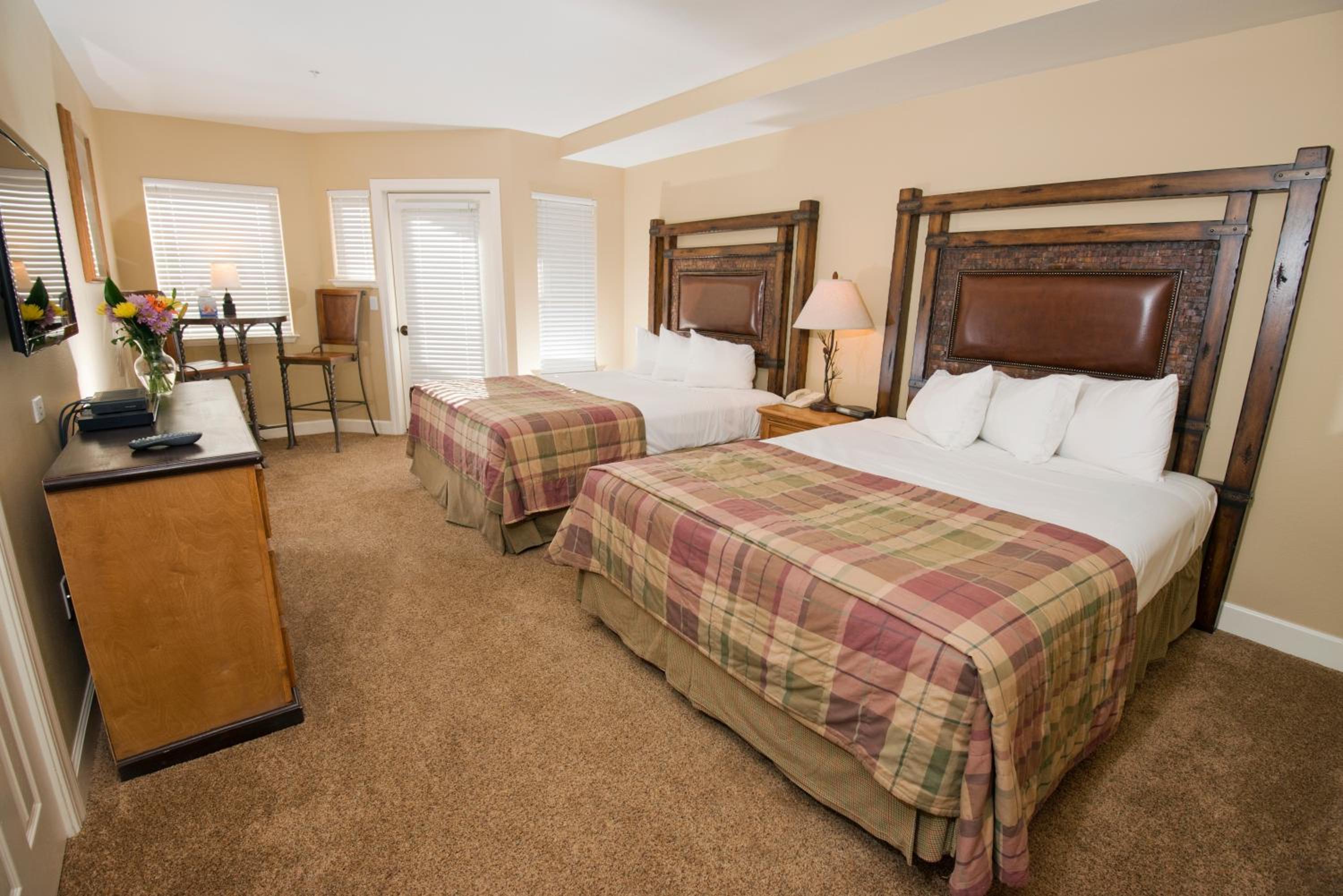 Standard Double Suite photo 1