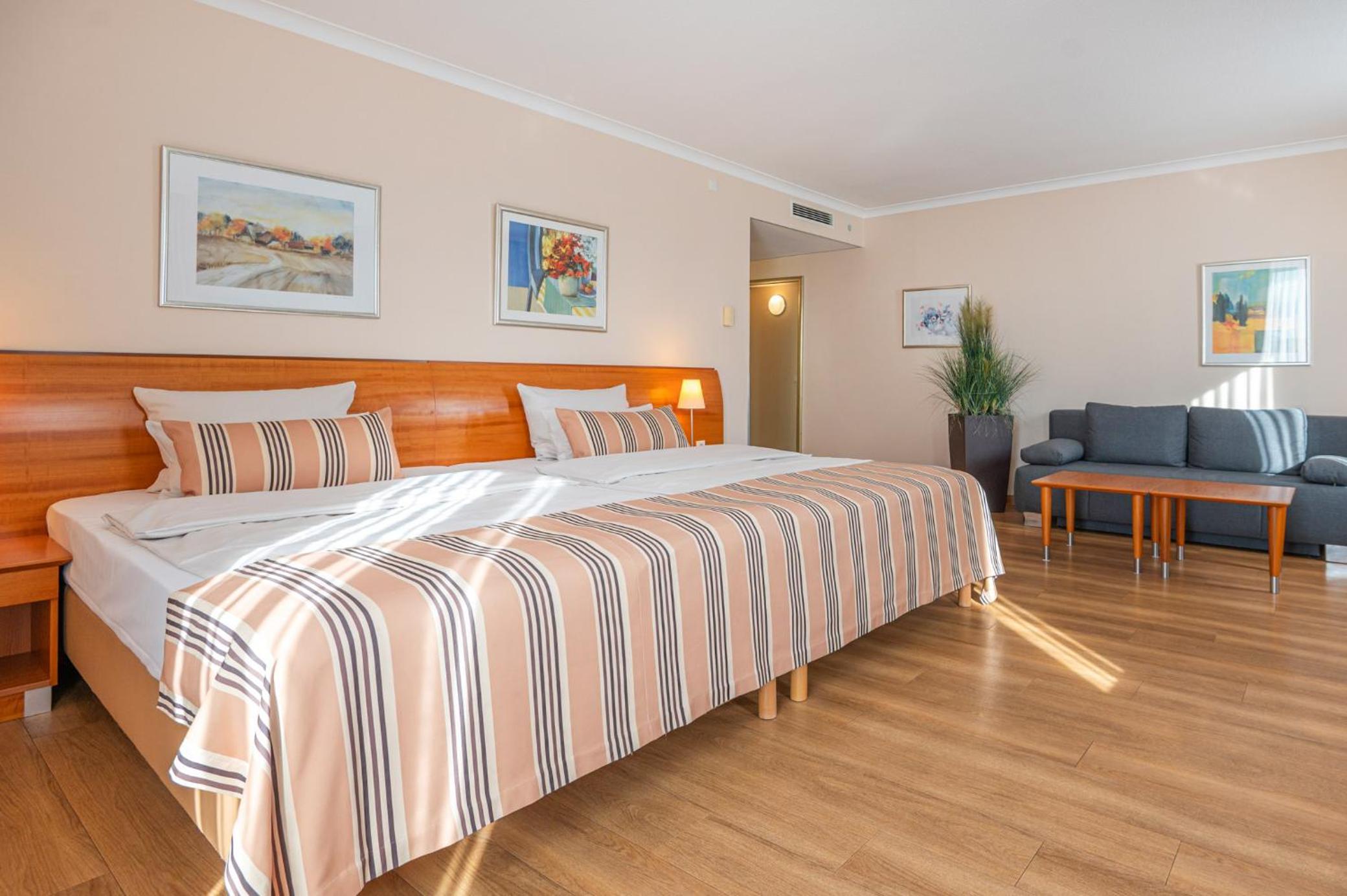 Suite - Photo 1