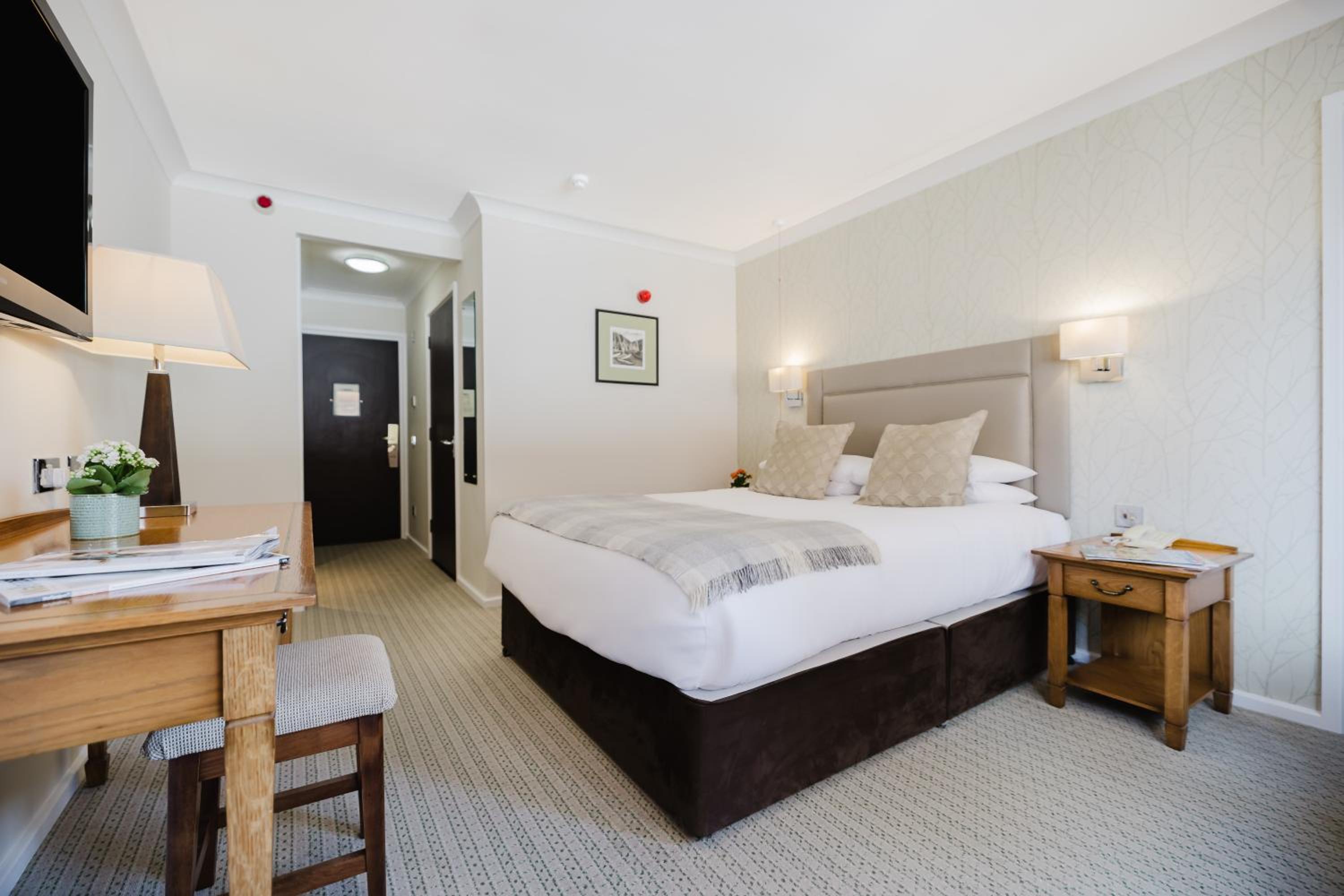 Double or Twin Room - Photo 11