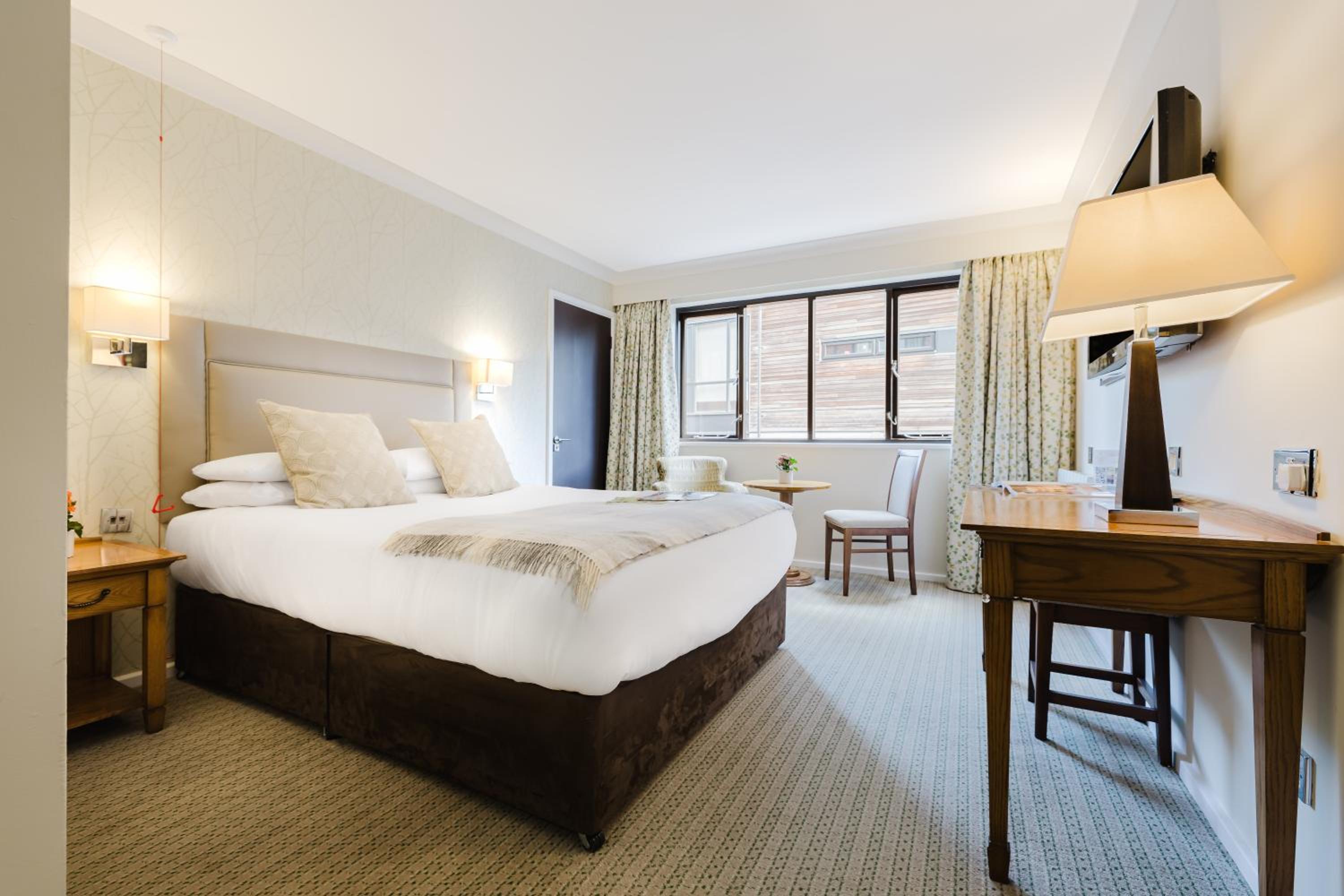 Double or Twin Room - Photo 10