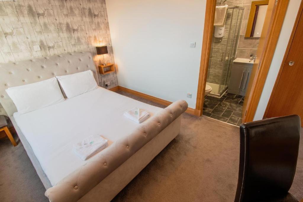 Superior King Room photo 2