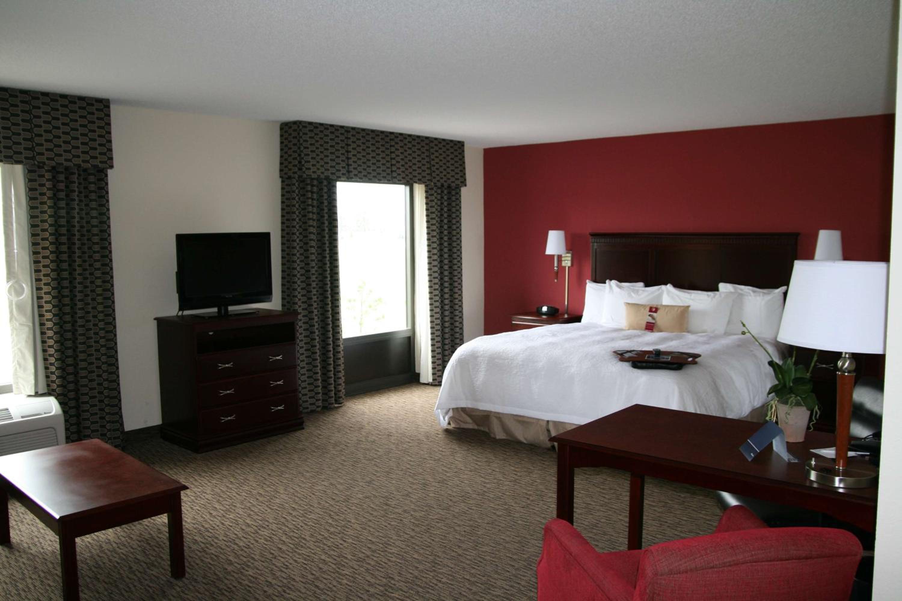 King Studio Suite With Sofa Bed - Non-Smoking - Photo 3