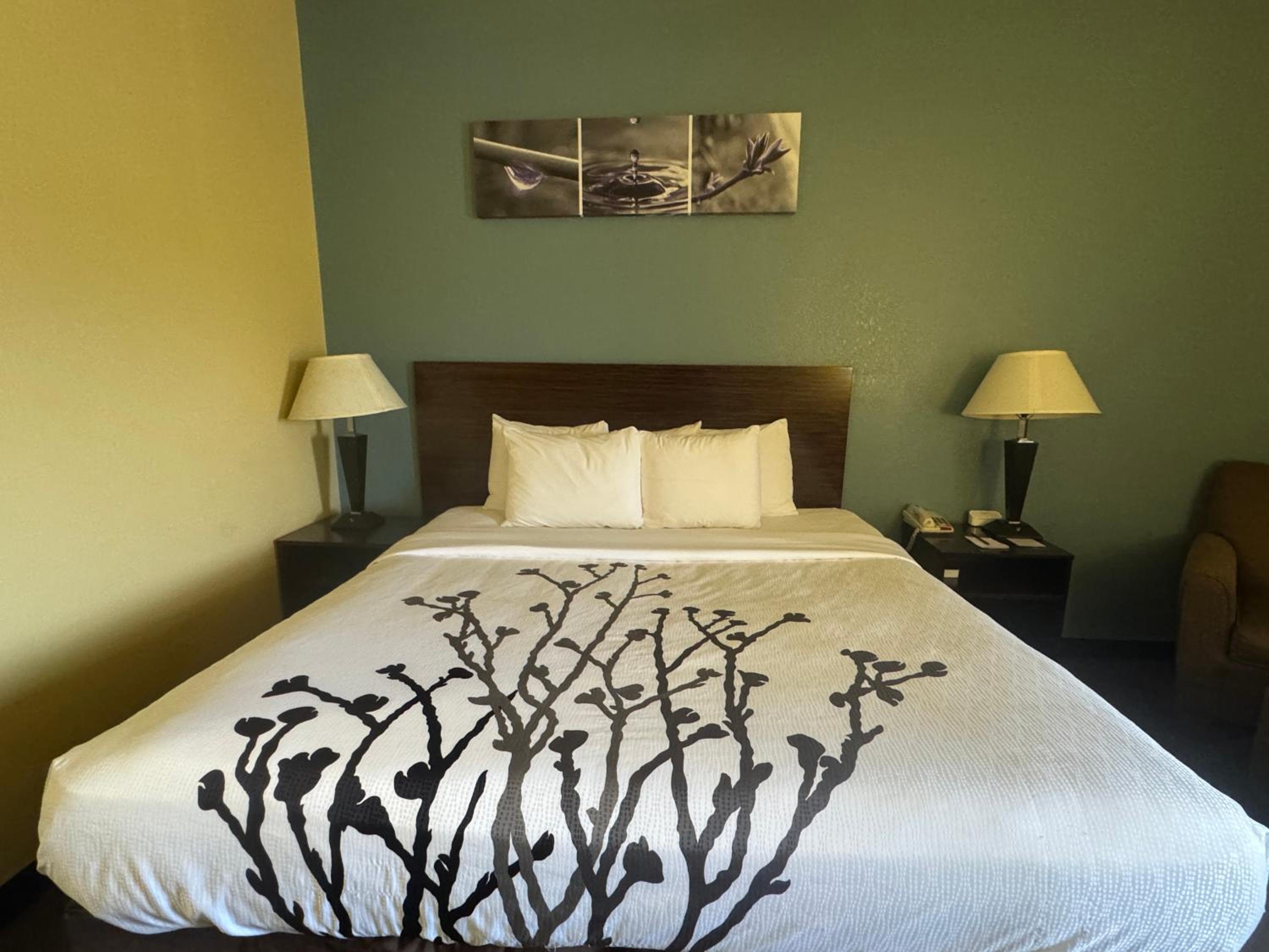 King Room - Non Smoking - Photo 1