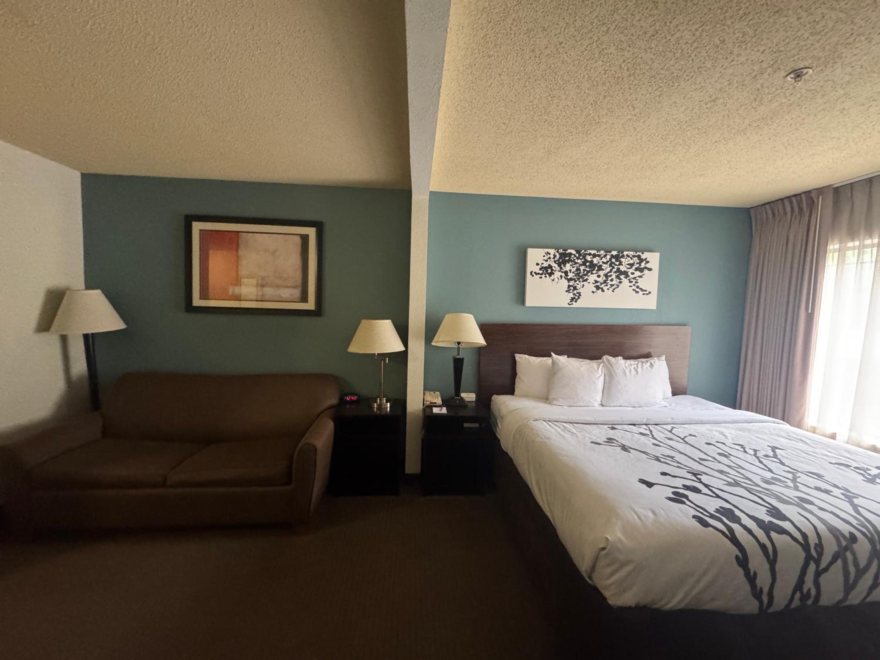 King Suite with Sofa Bed - Non Smoking - Photo 2
