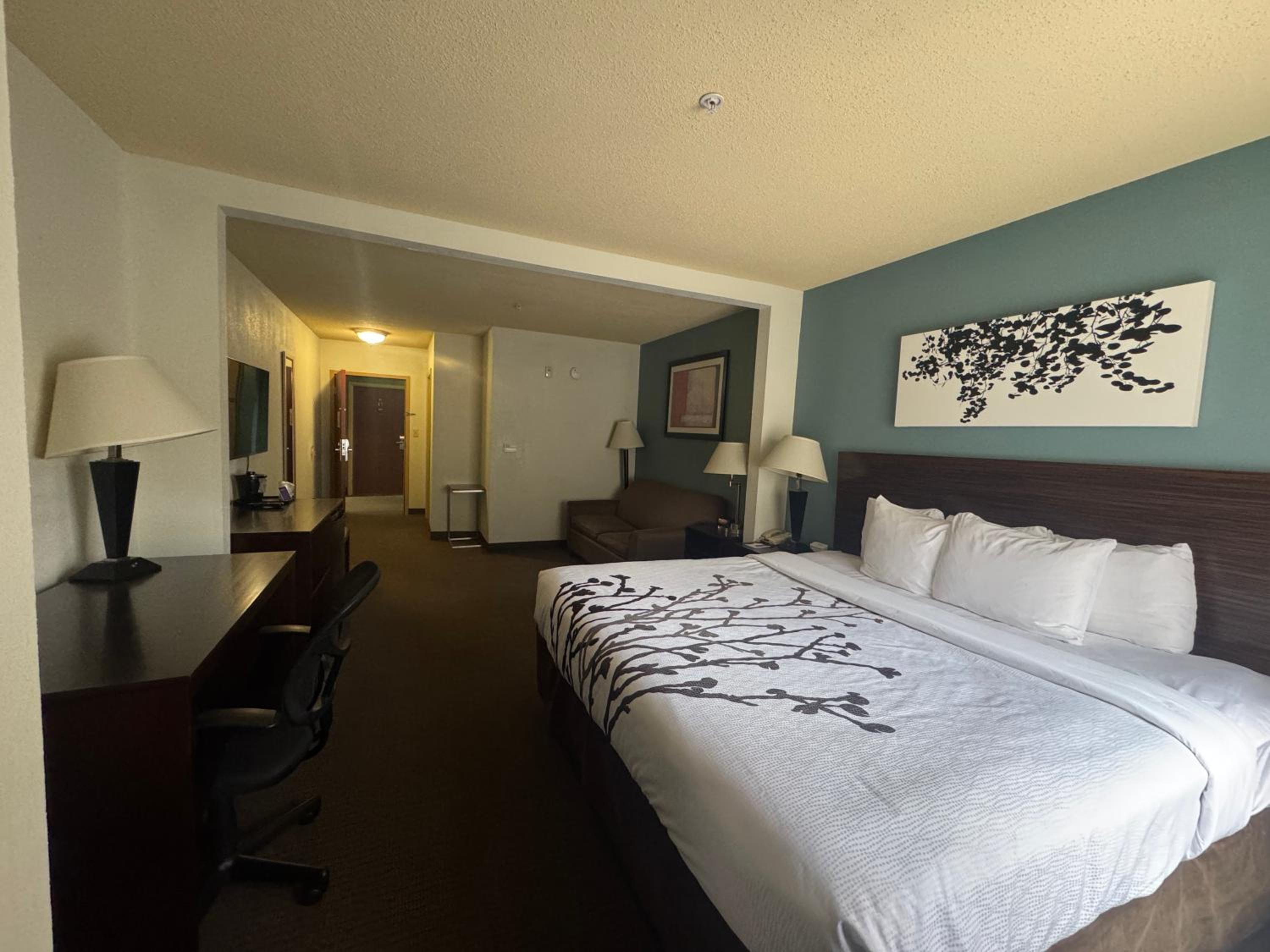 King Suite with Sofa Bed - Non Smoking - Photo 7