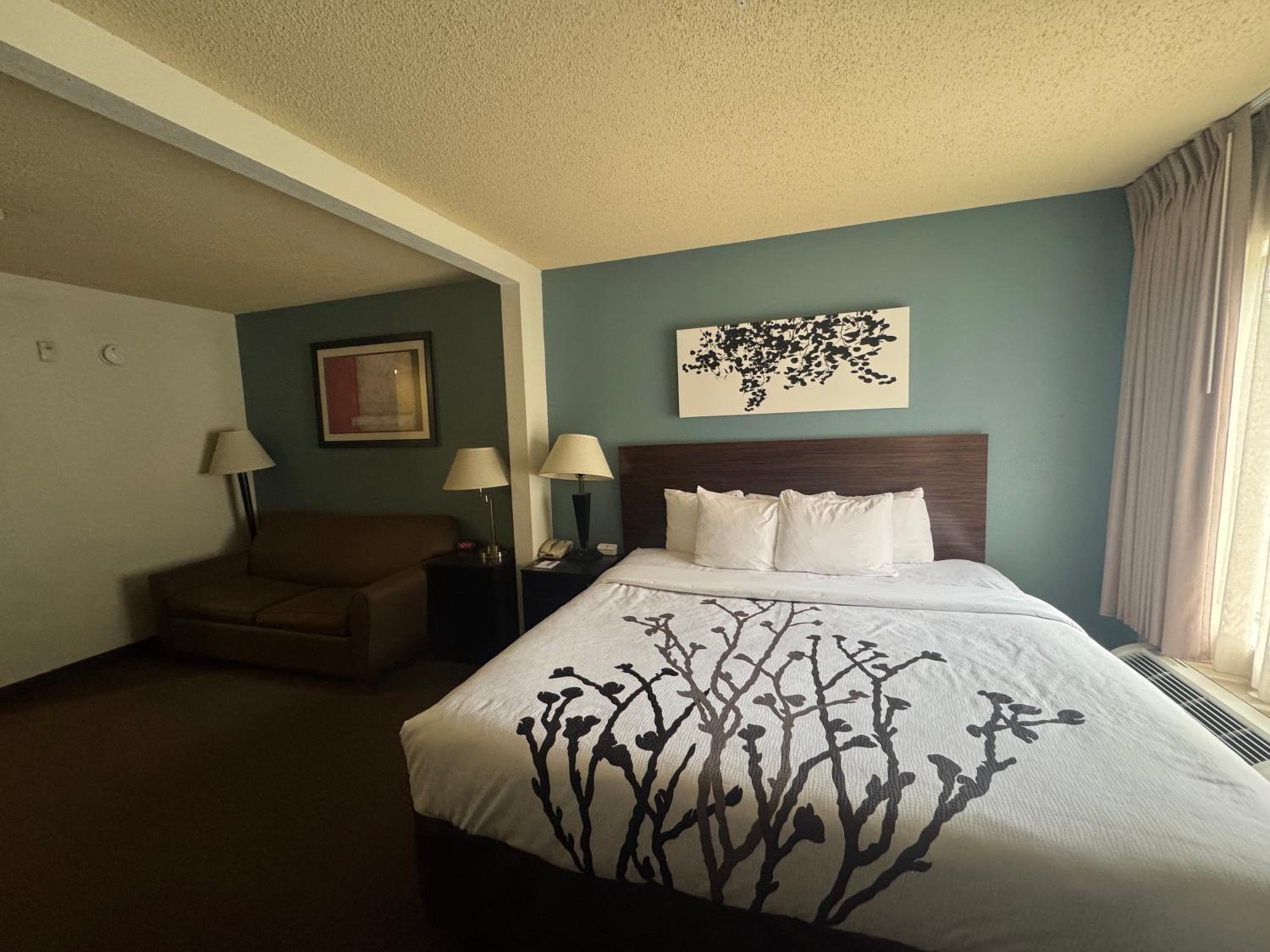 King Suite with Sofa Bed - Non Smoking - Photo 1