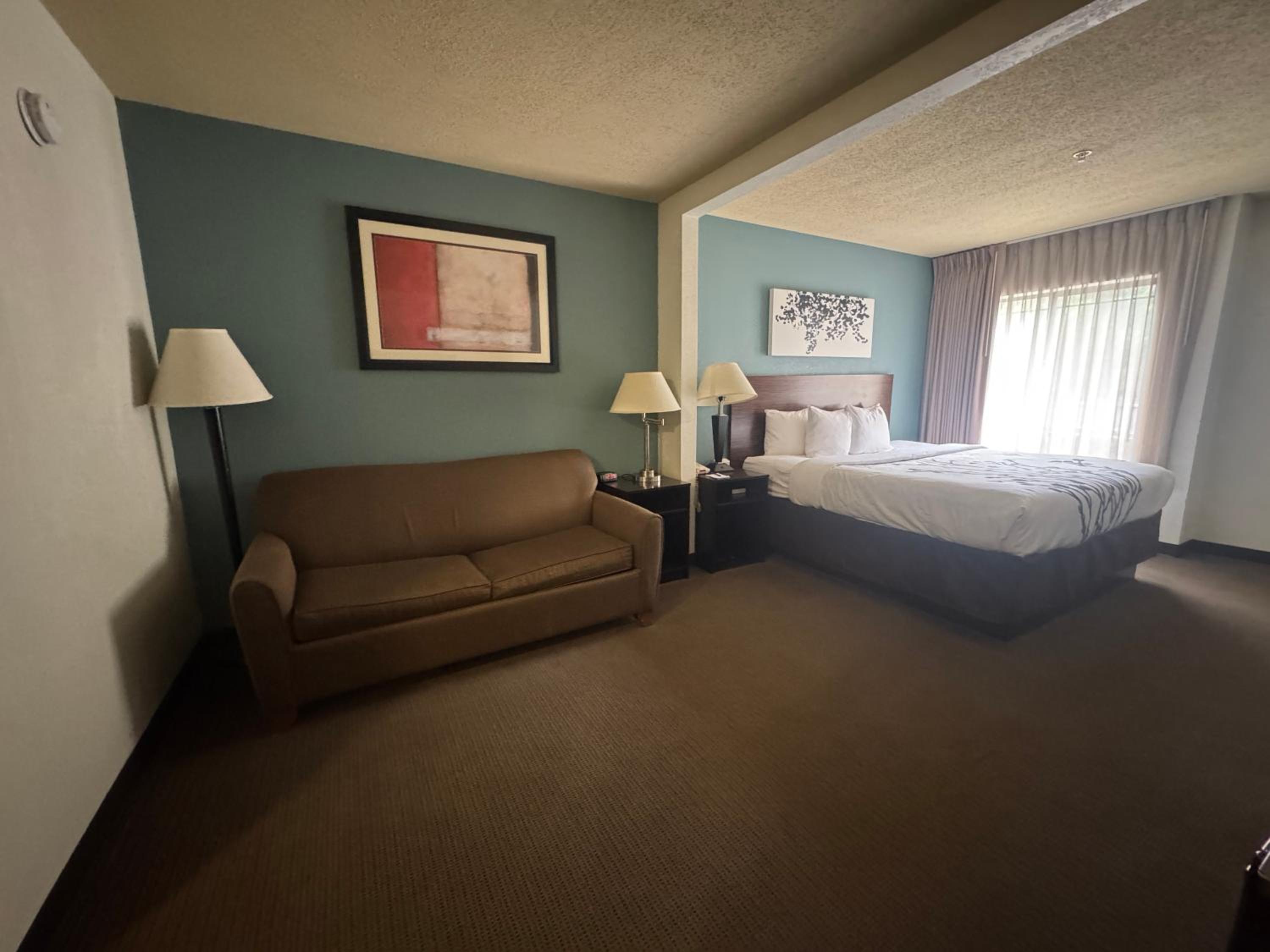 King Suite with Sofa Bed - Non Smoking - Photo 4