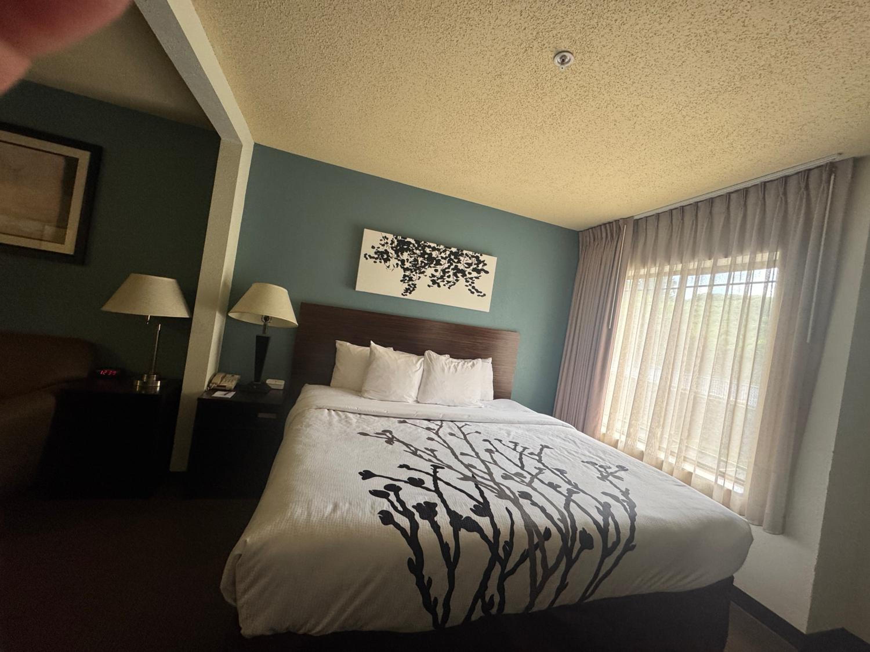King Suite with Sofa Bed - Non Smoking - Photo 3