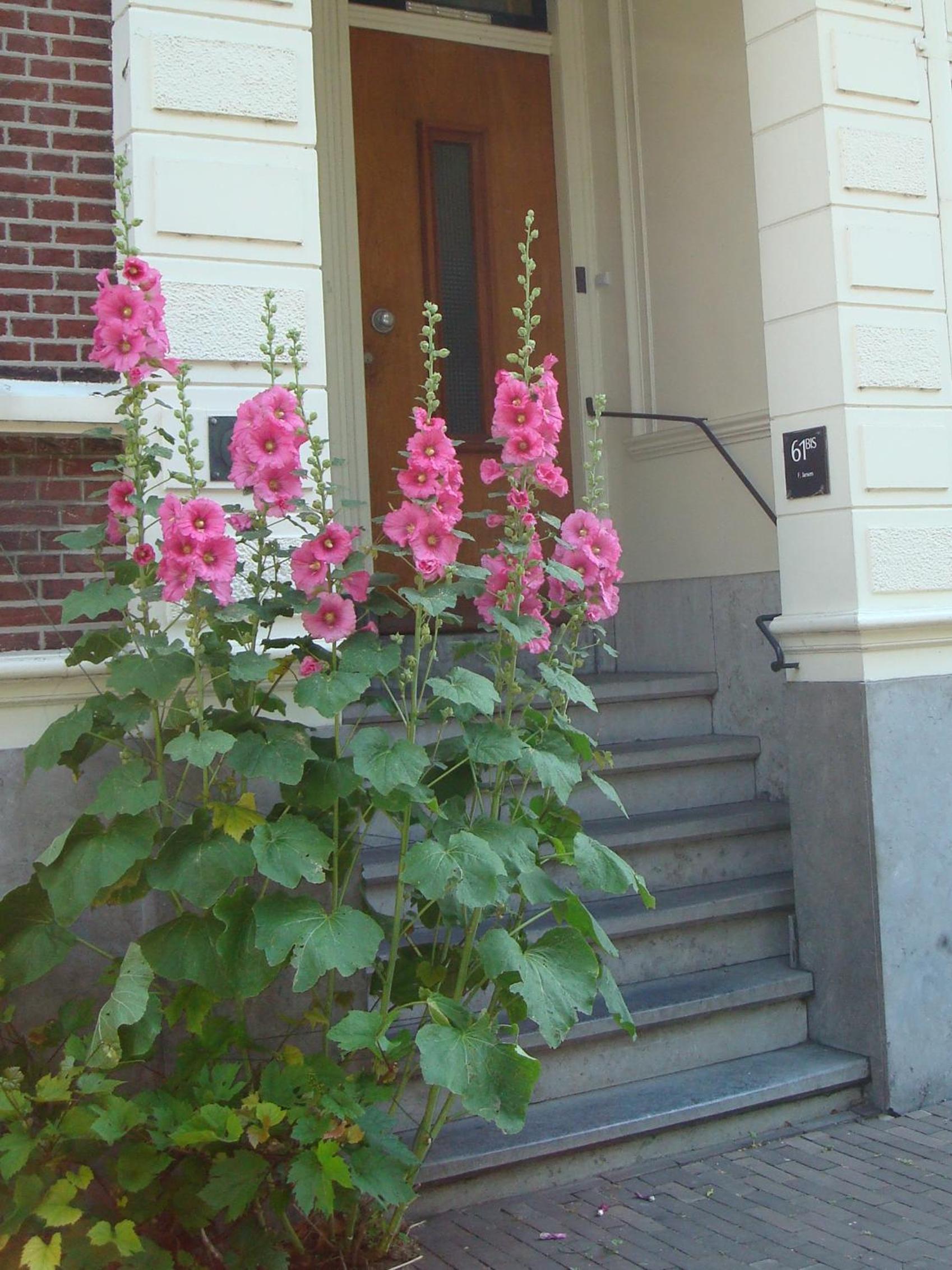 Single Room with Balcony photo 1