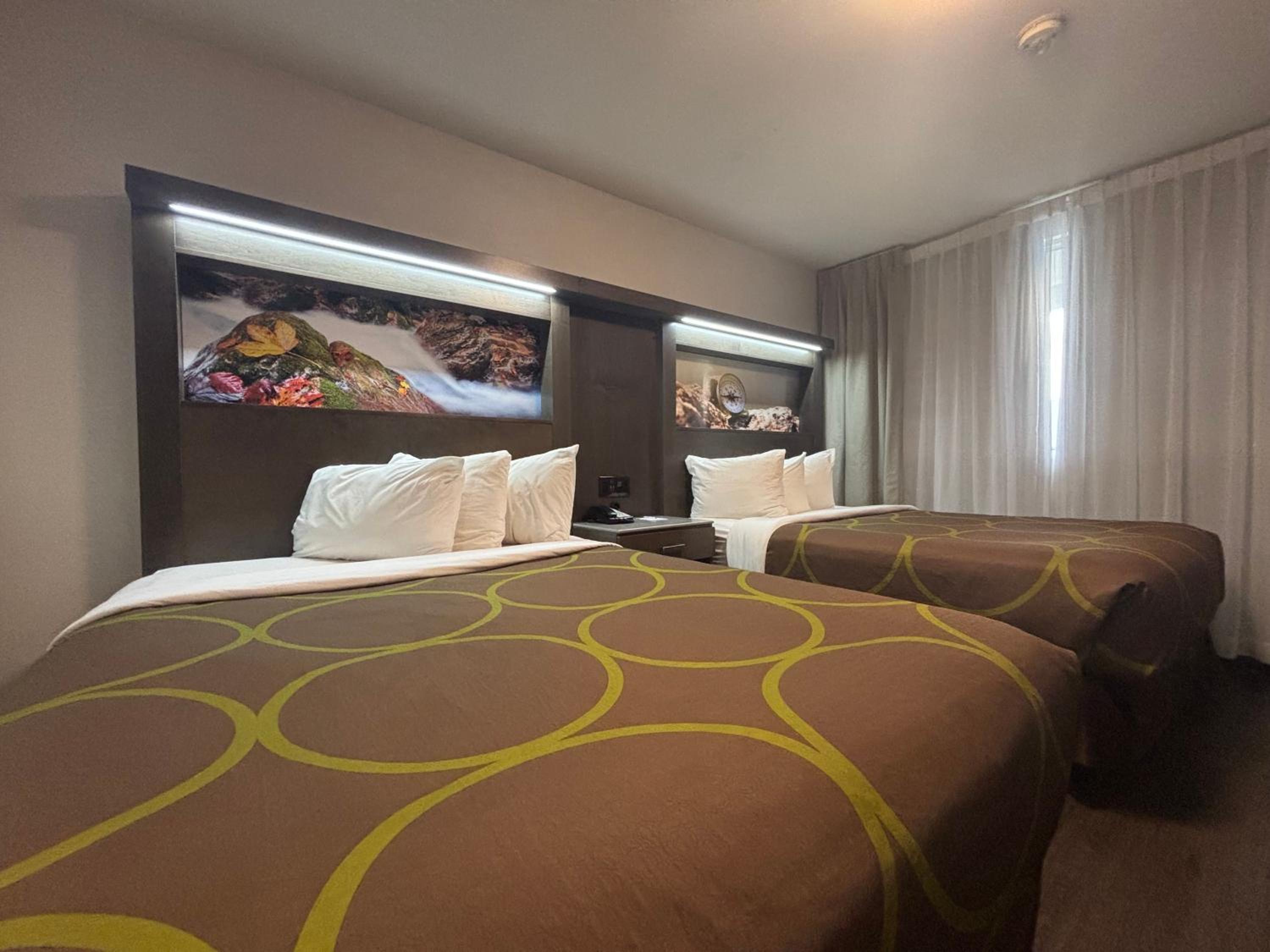 Queen Room with Two Queen Beds and Kitchen - Pet-Friendly/Non-Smoking - Photo 1