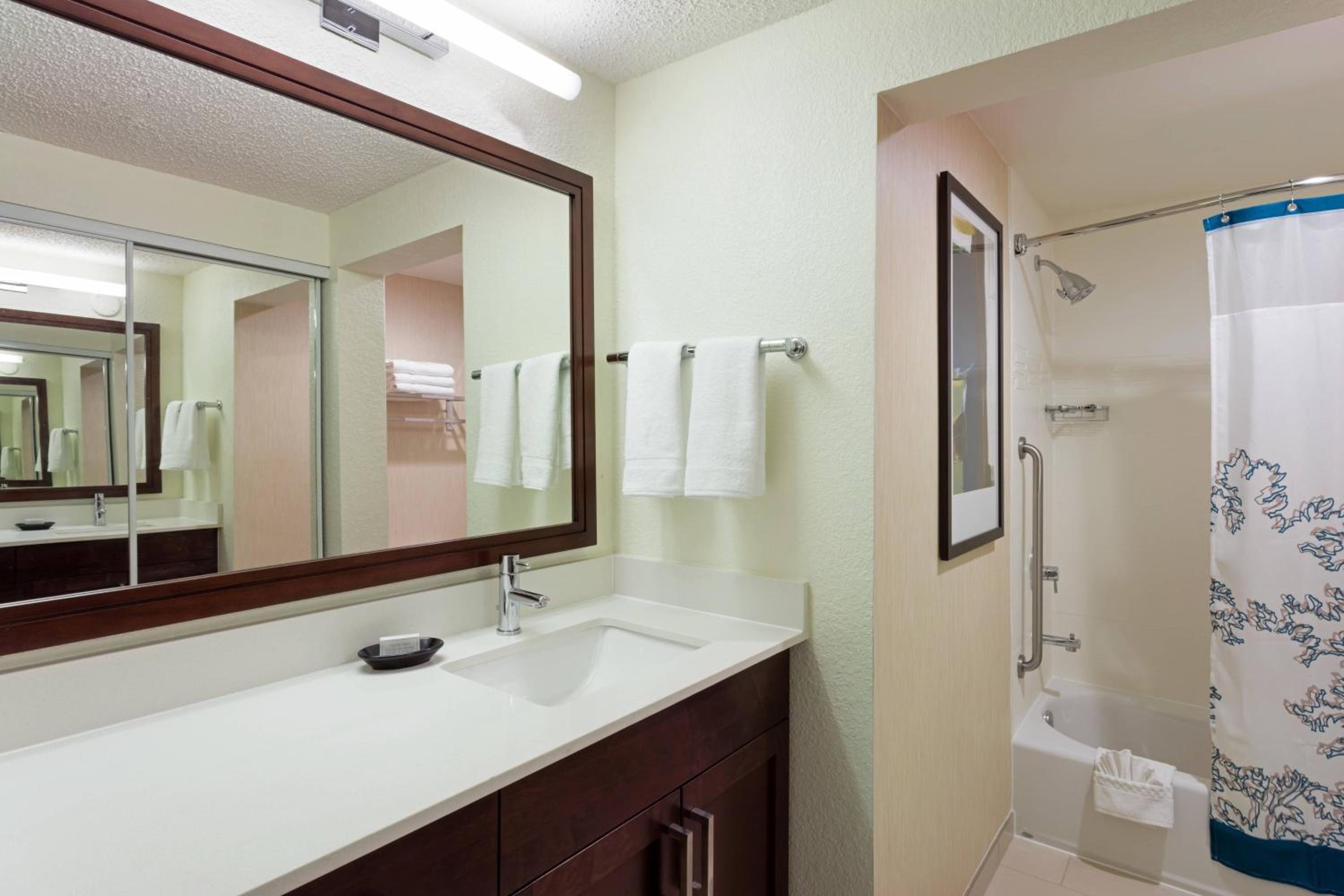 One-Bedroom Queen Suite with Sofa Bed photo 3
