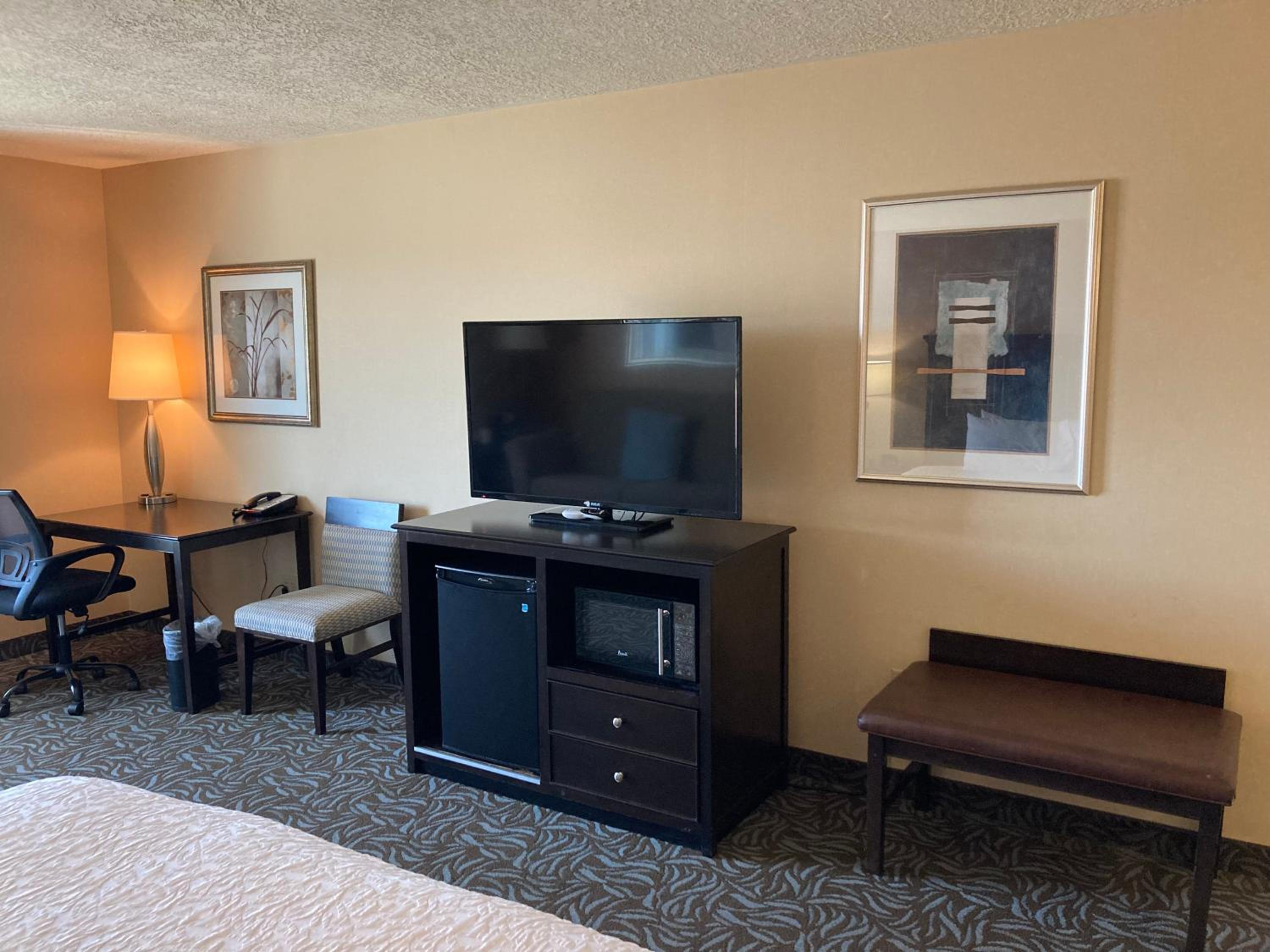 King Studio Suite with Sofa Bed - Non-Smoking - Photo 8