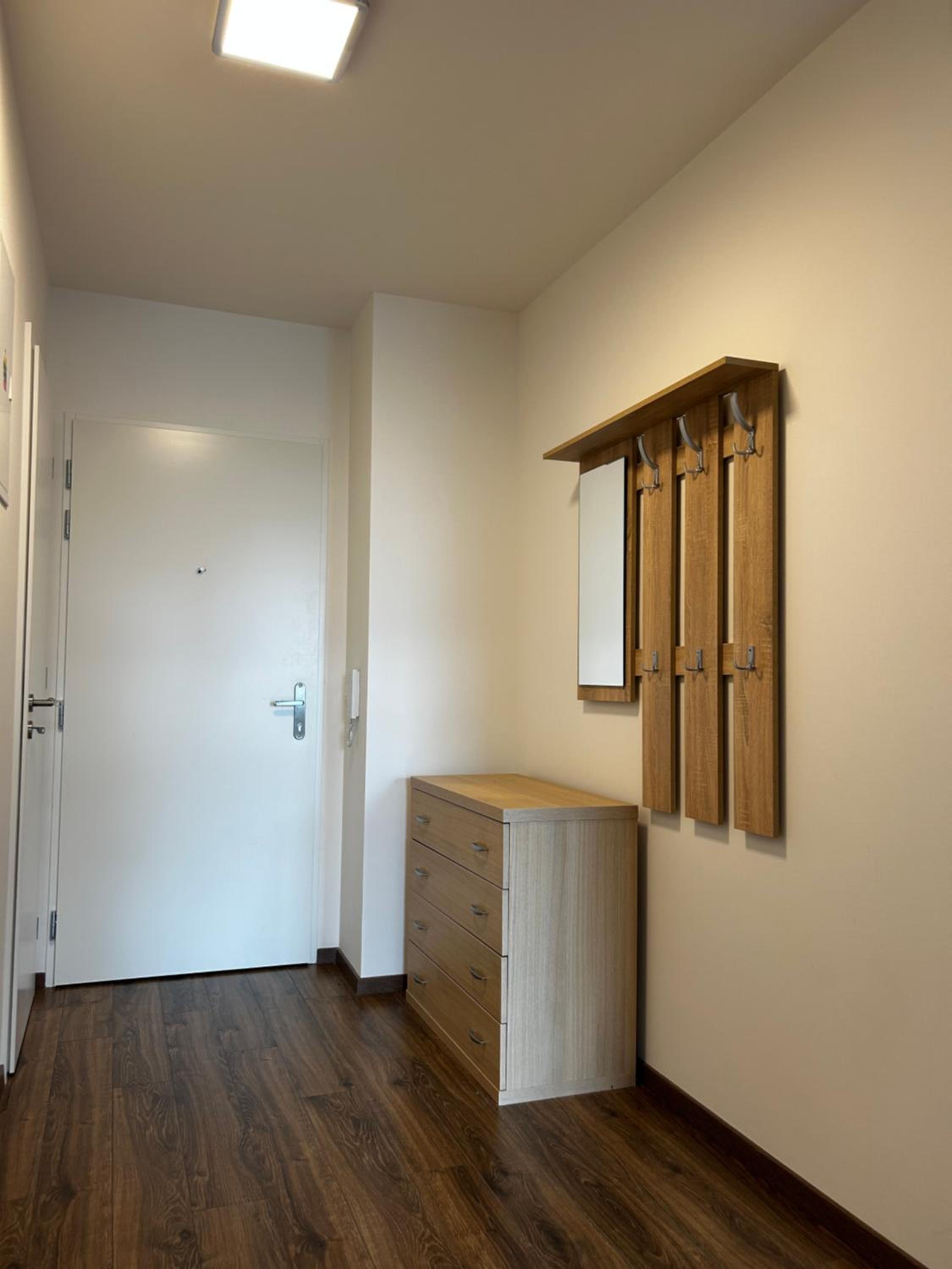 One-Bedroom Apartment photo 3