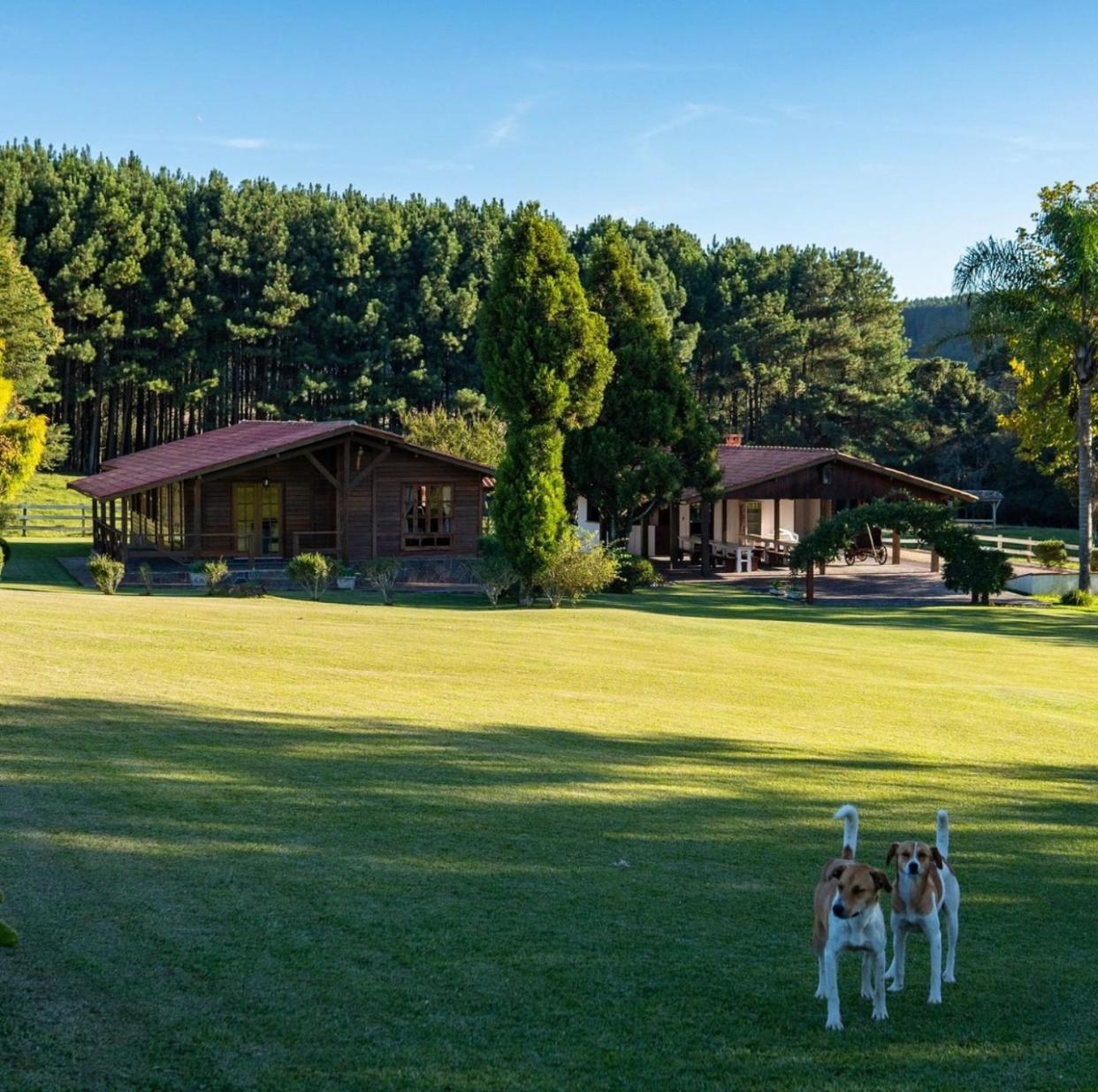 Villa photo 2