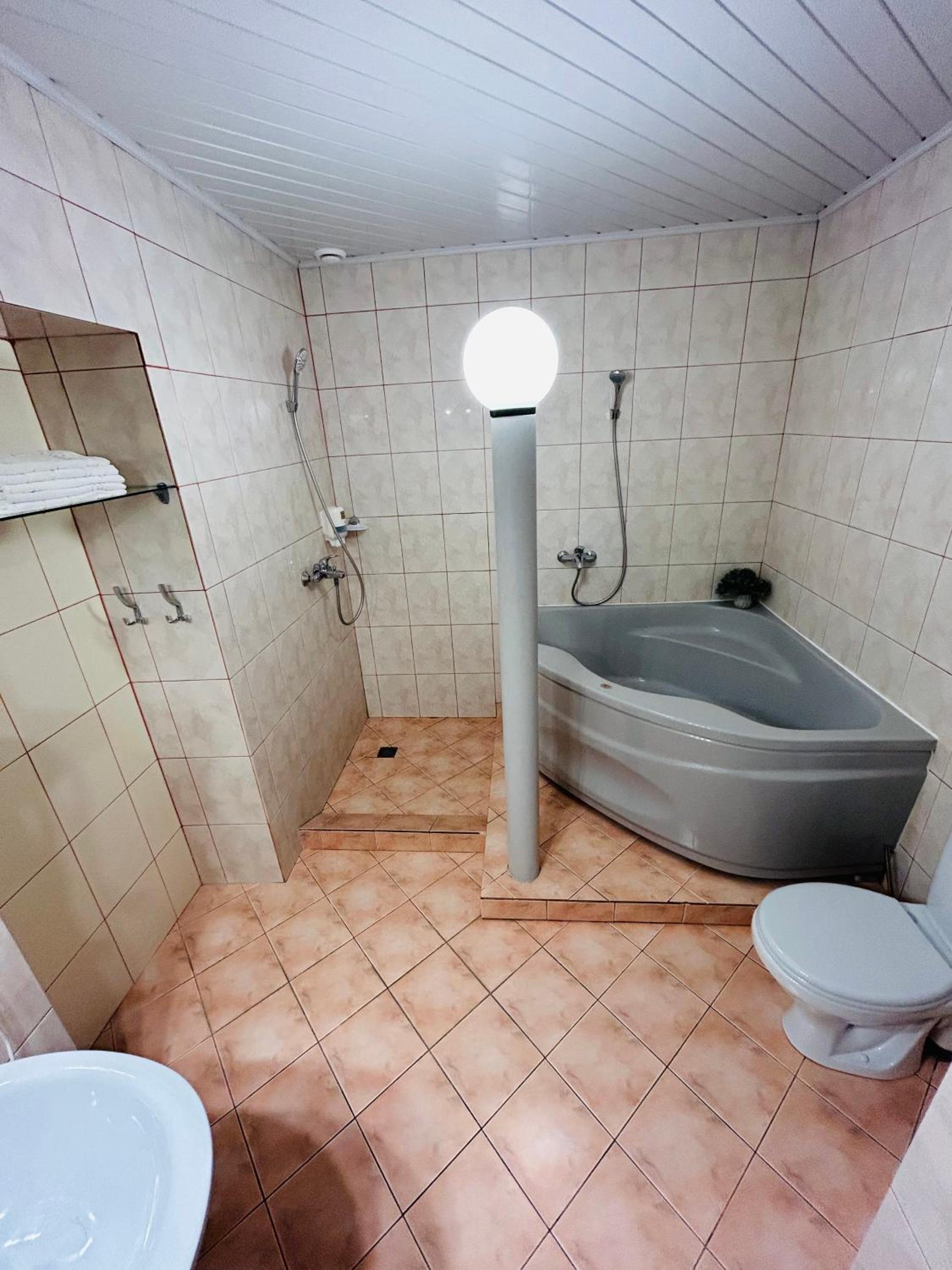 Family Room with Bath - Photo 5