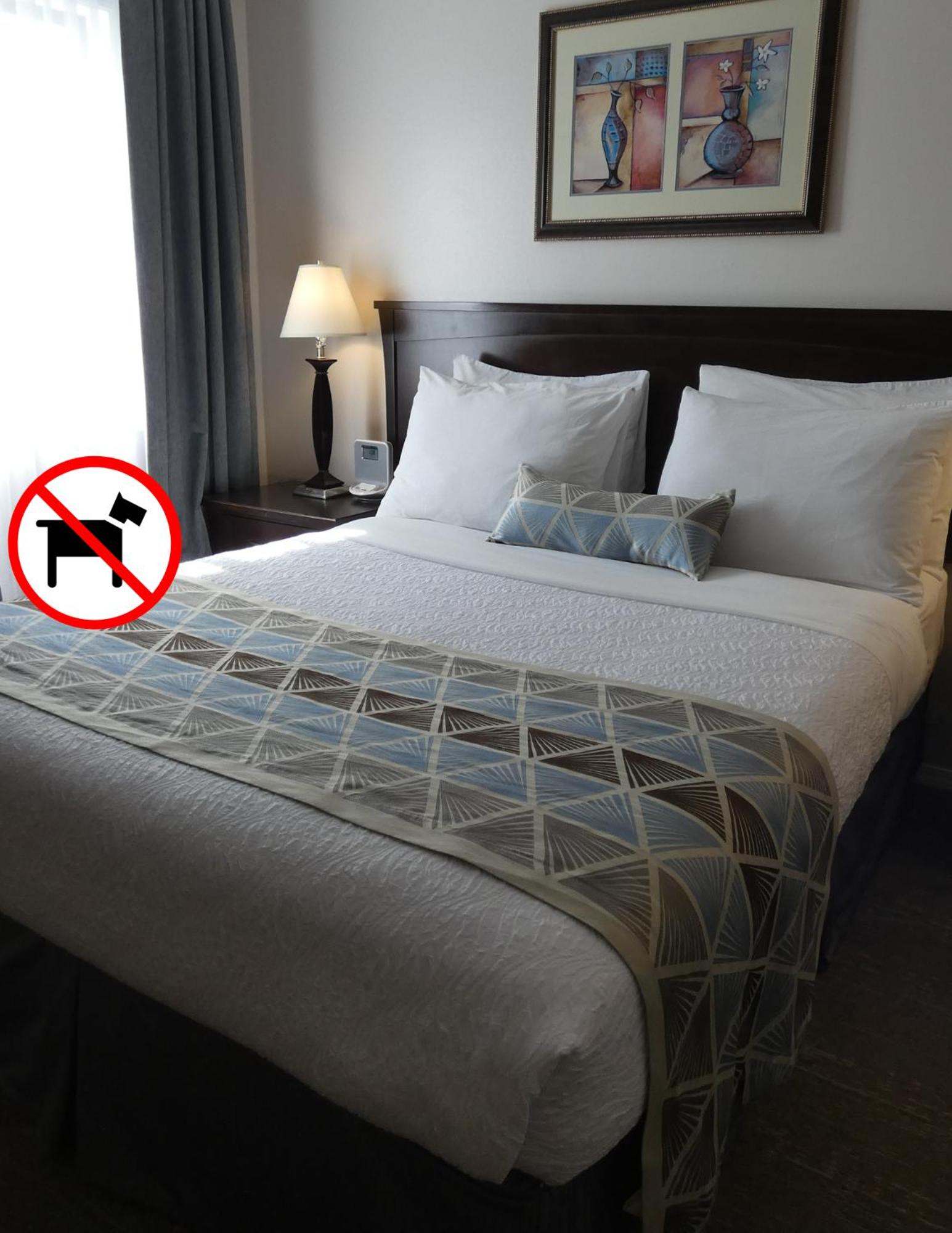 Standard Room, 1 Queen Bed (Non-Pet Friendly) photo 3
