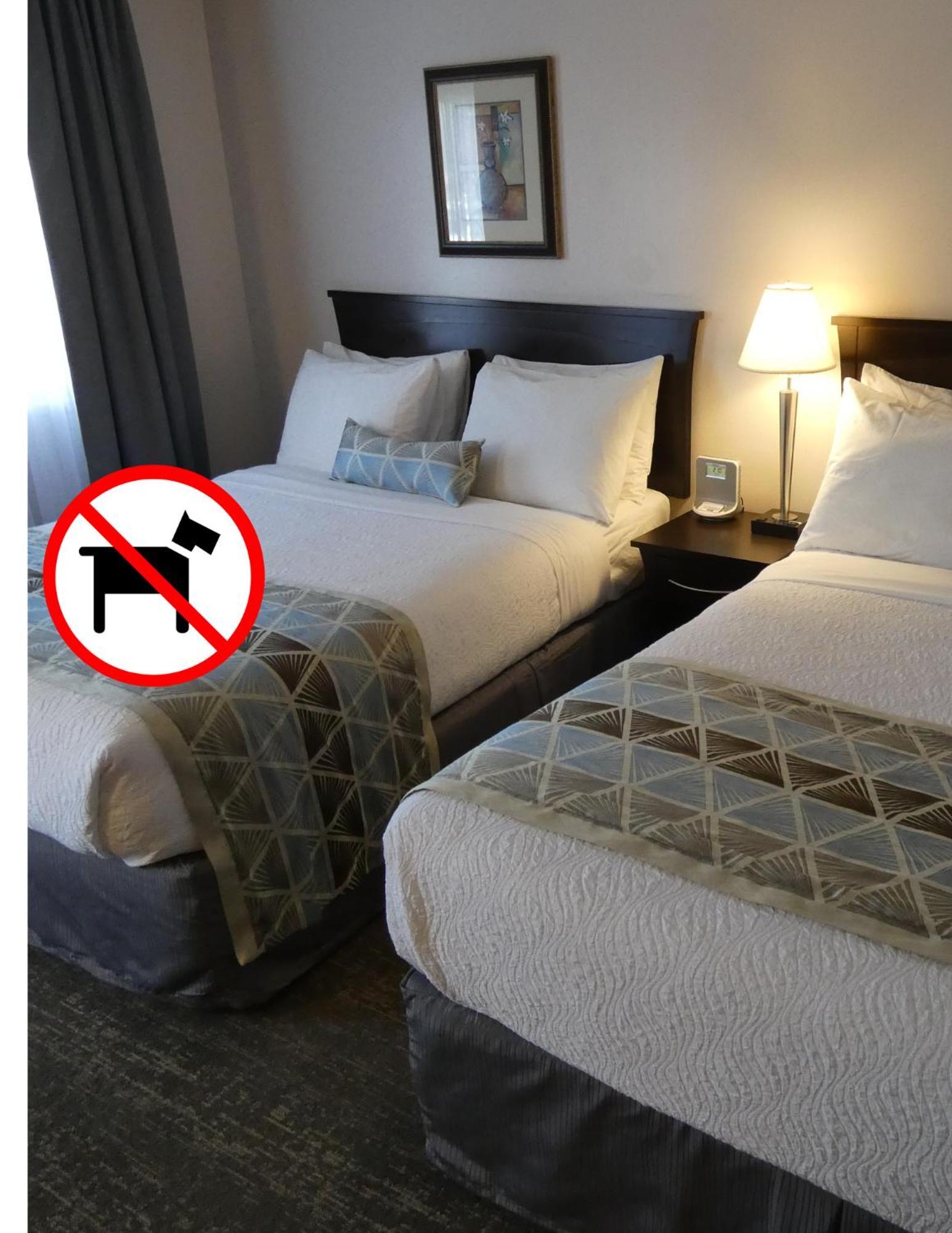 Standard 2 Queen Room (Non-Pet Friendly) photo 3