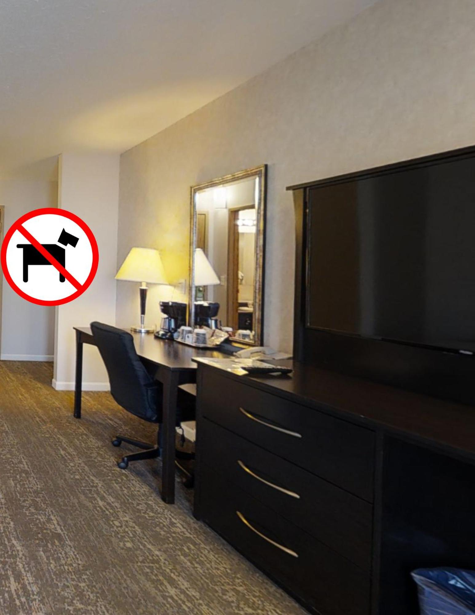 Standard 2 Queen Room (Non-Pet Friendly) photo 2