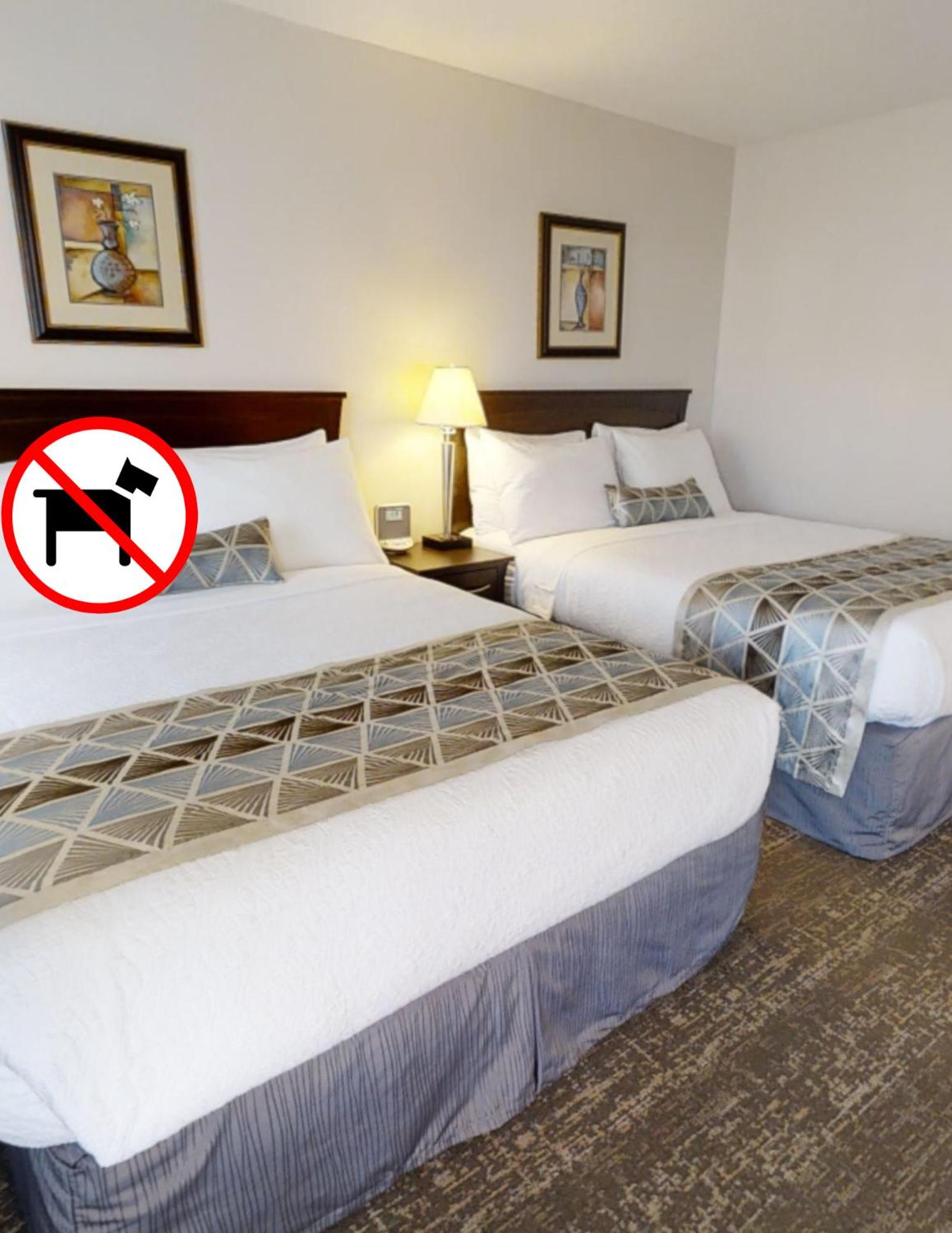 Standard 2 Queen Room (Non-Pet Friendly) photo 1