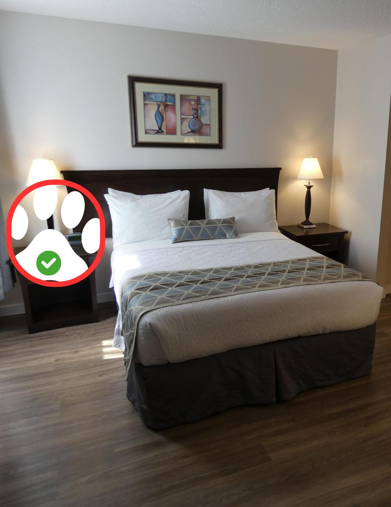 Standard Queen Room (Pet Friendly) photo 1