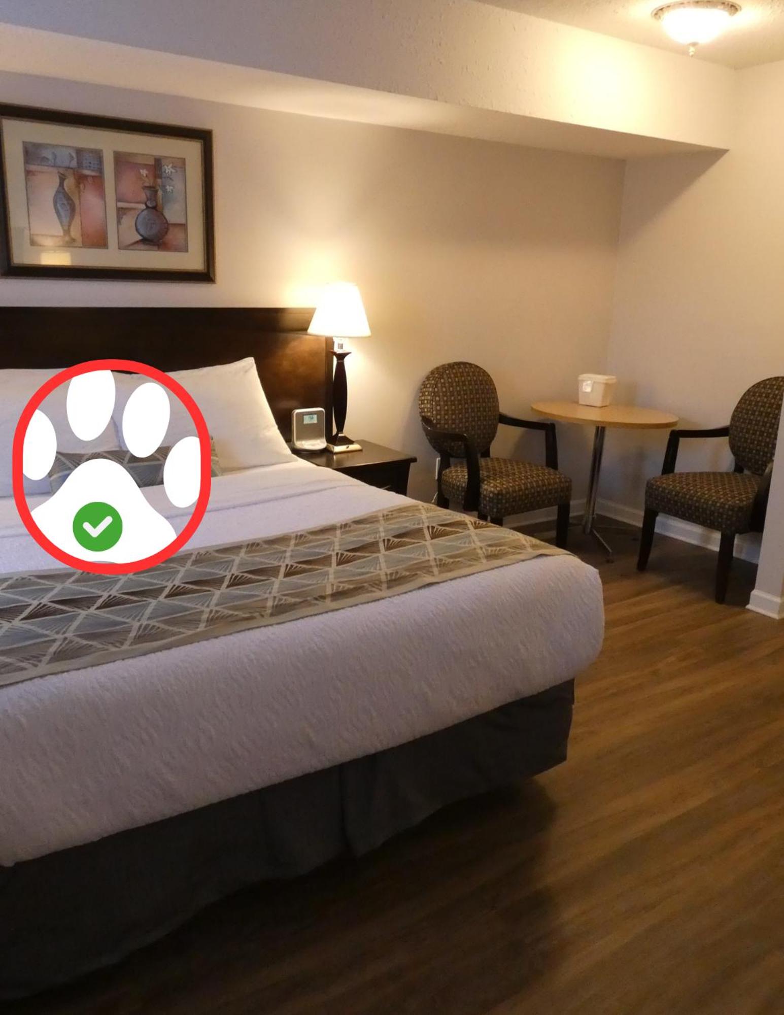 Standard 1 Queen with Kitchenette (Pet Friendly) photo 3