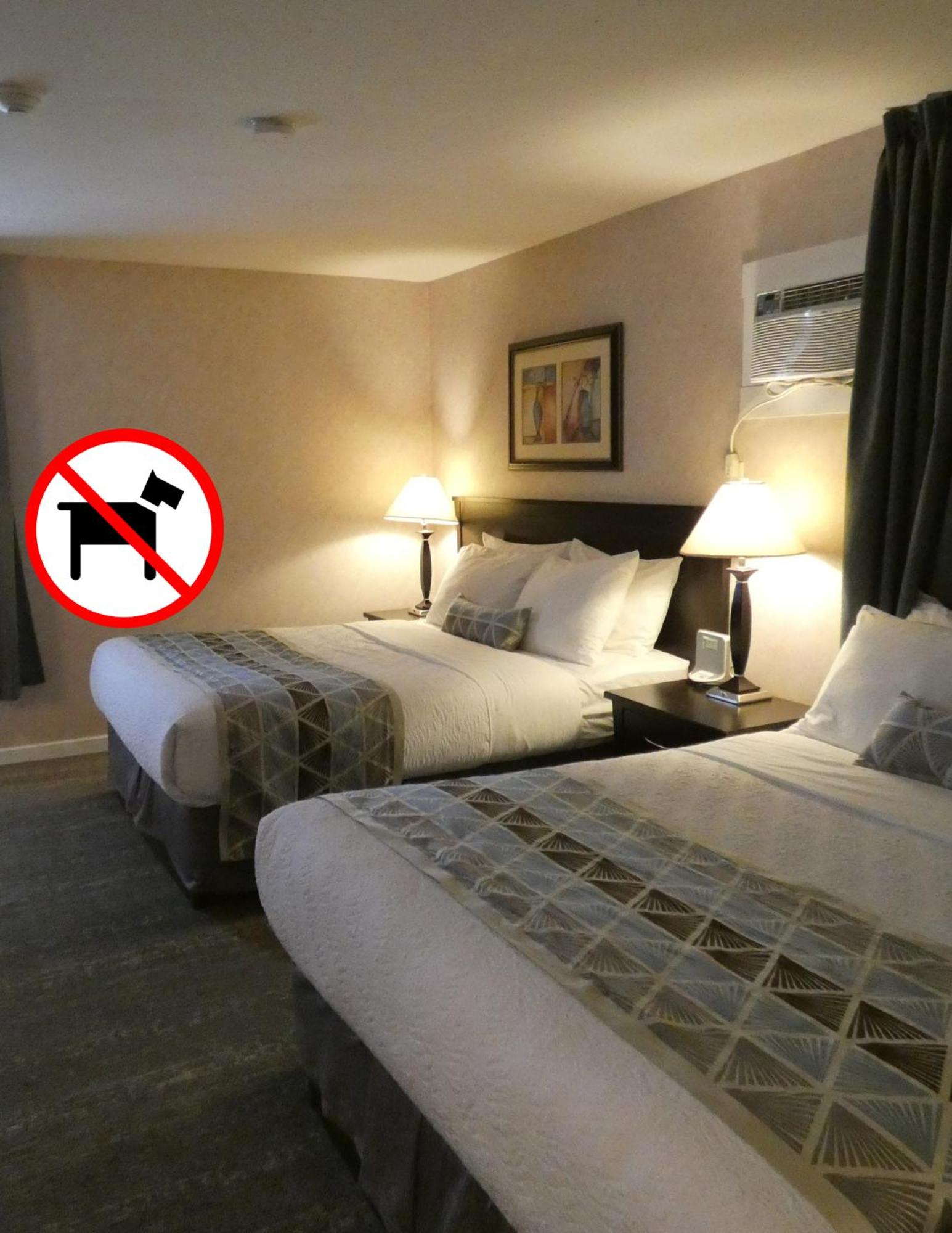 2 Queen Room with Kitchenette (Non-Pet Friendly) photo 2
