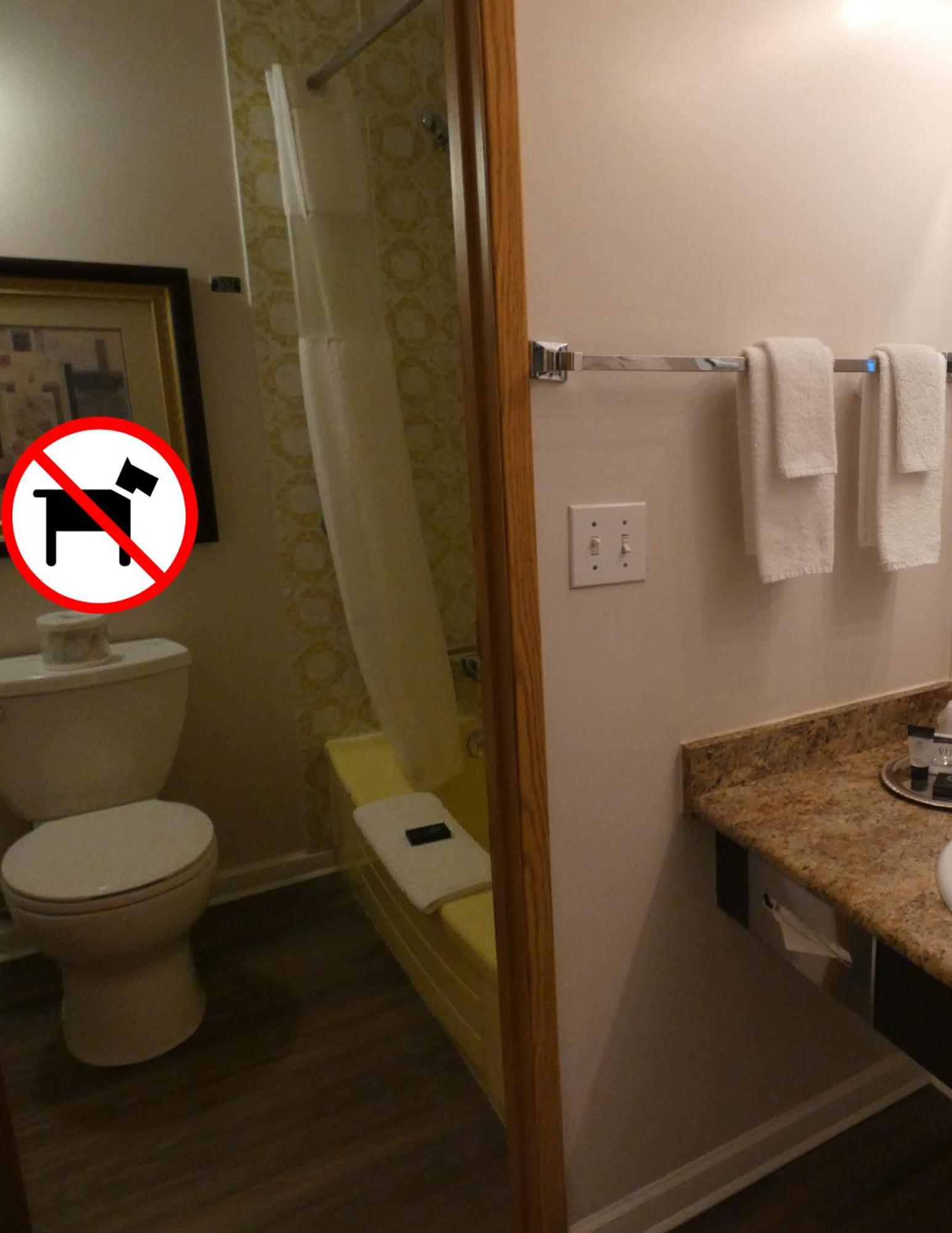 Standard Room, 1 Queen with Kitchenette (Non-Pet Friendly) photo 3