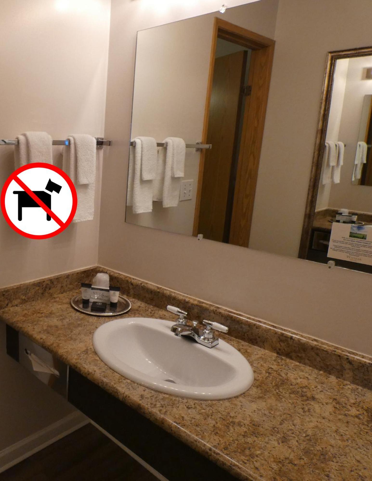 Standard Room, 1 Queen with Kitchenette (Non-Pet Friendly) photo 2