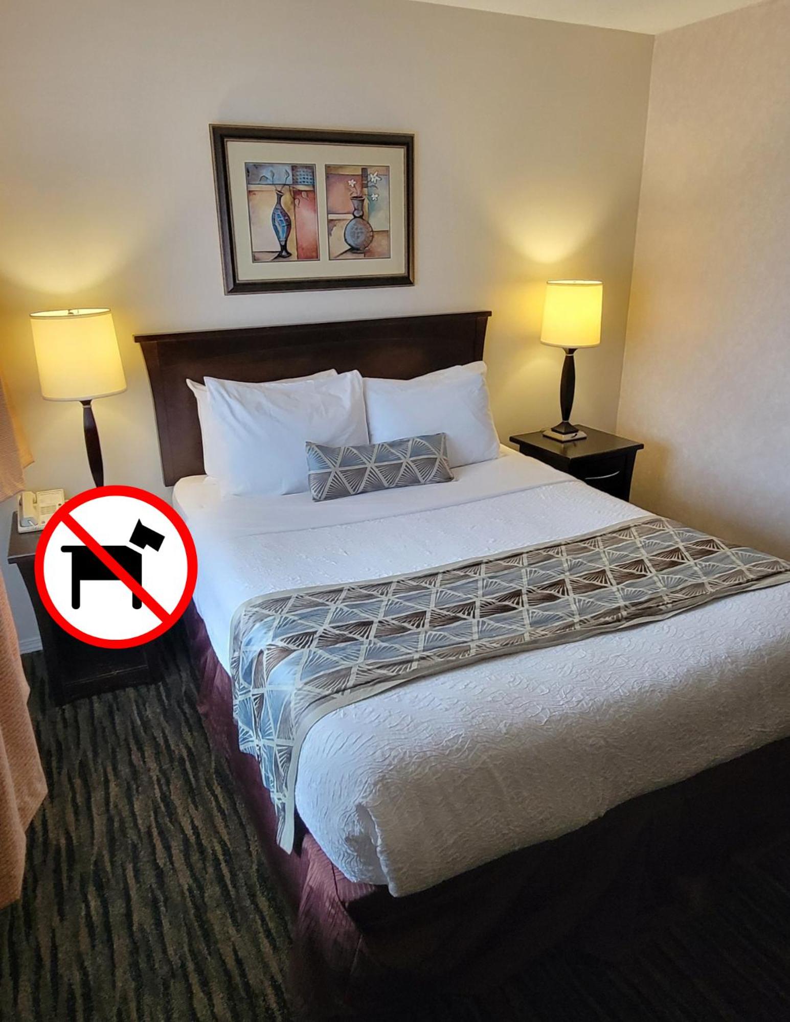 Standard Room, 1 Queen Bed (Non-Pet Friendly) - Photo 1
