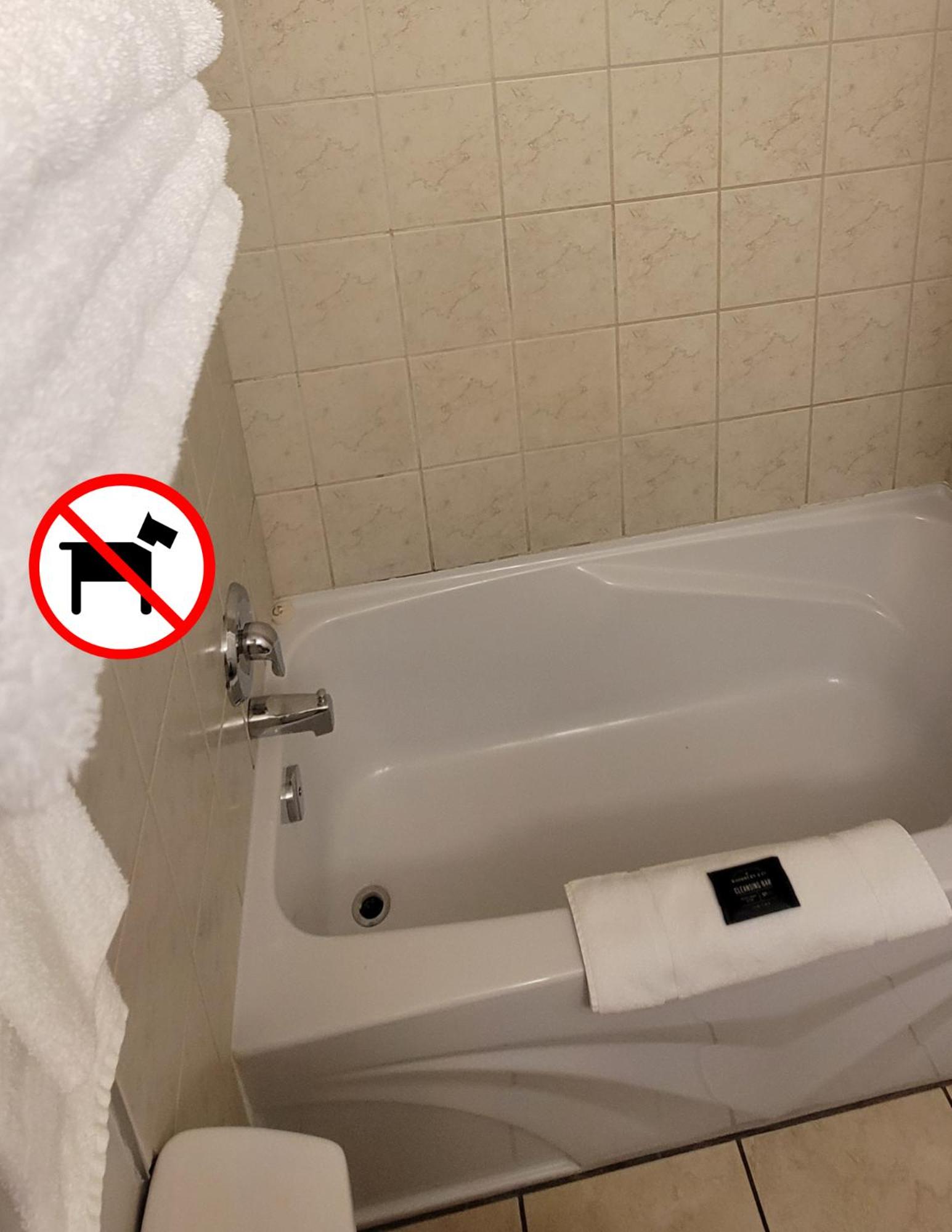 Standard Room, 2 Queen Beds, Kitchenette (Non-Pet Friendly) - Photo 1