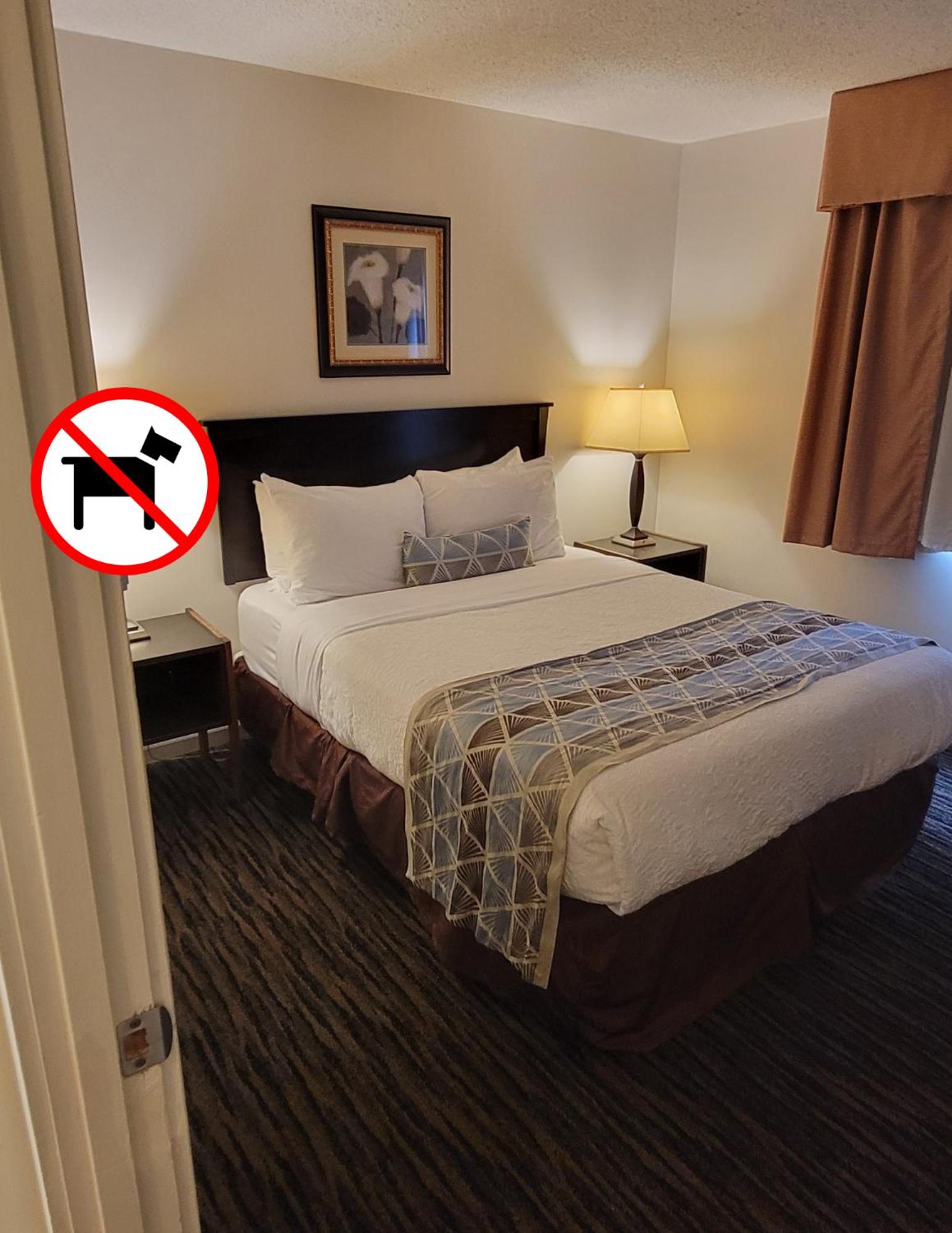 Suite, 2 Queens with a separate 1 Bedroom Kitchen (Non-Pet Friendly) - Photo 1
