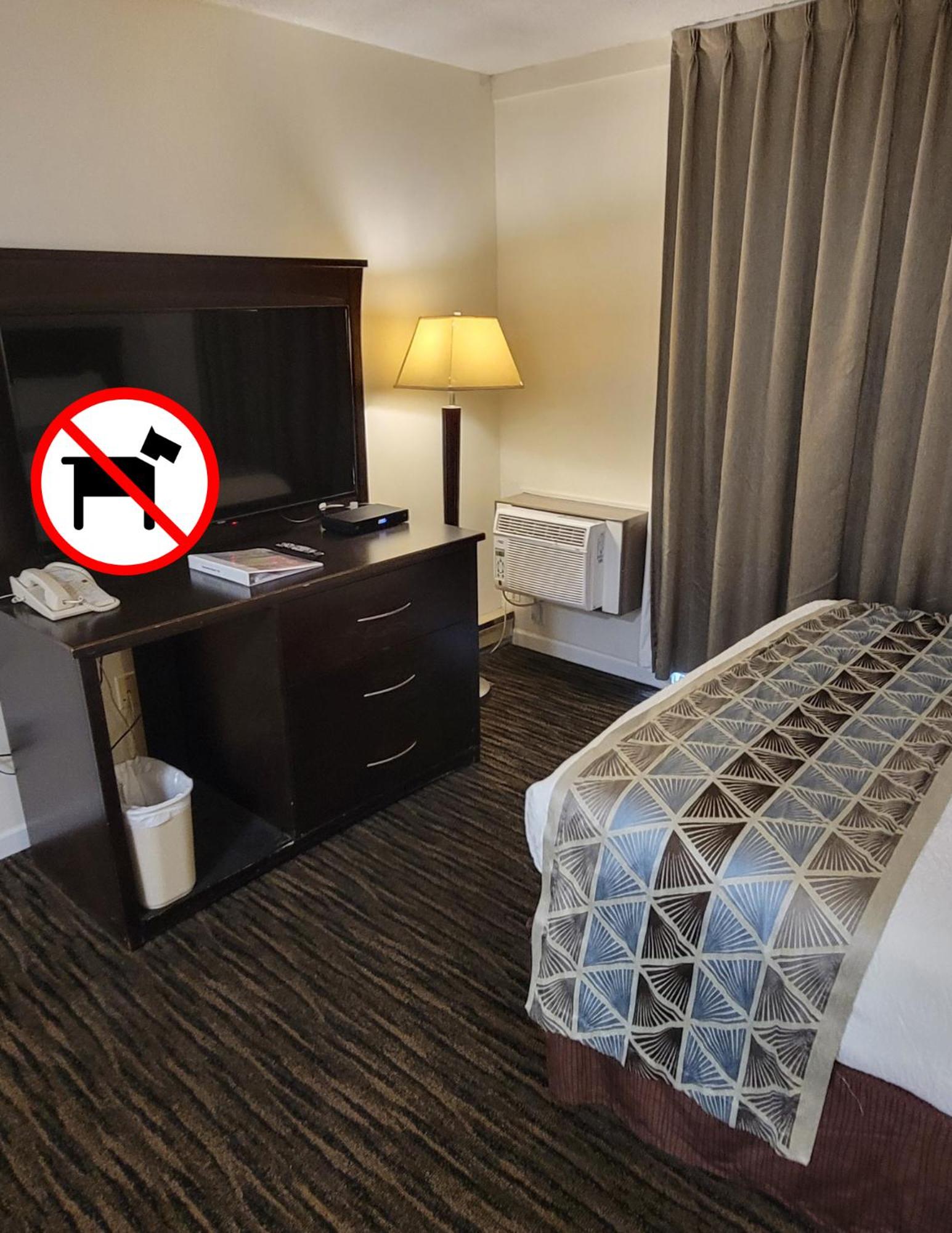 Suite, 2 Queens with a separate 1 Bedroom Kitchen (Non-Pet Friendly) - Photo 3