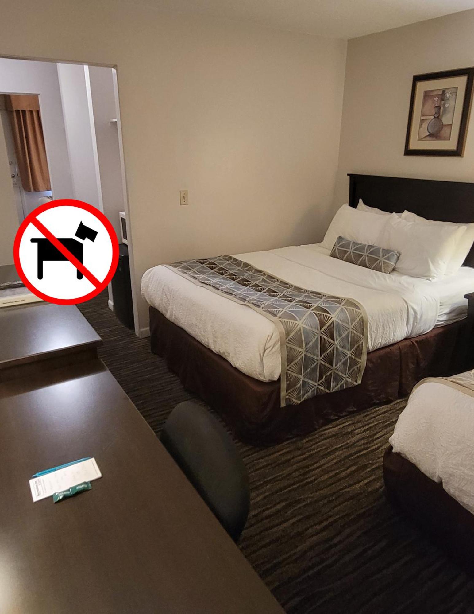 2 Queens with 1 Single Bed (Non-Pet Friendly) - Photo 3