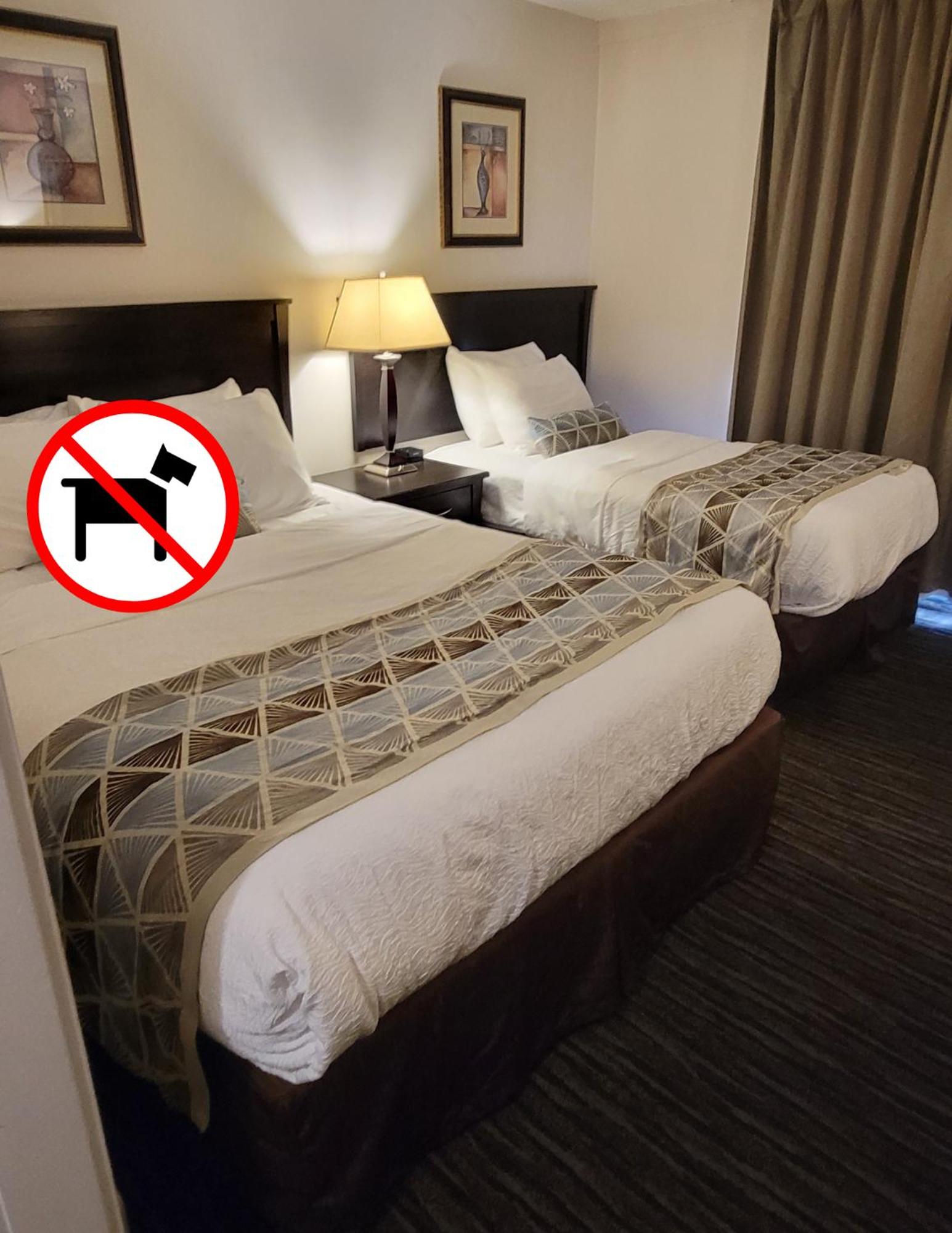 2 Queens with 1 Single Bed (Non-Pet Friendly) - Photo 1