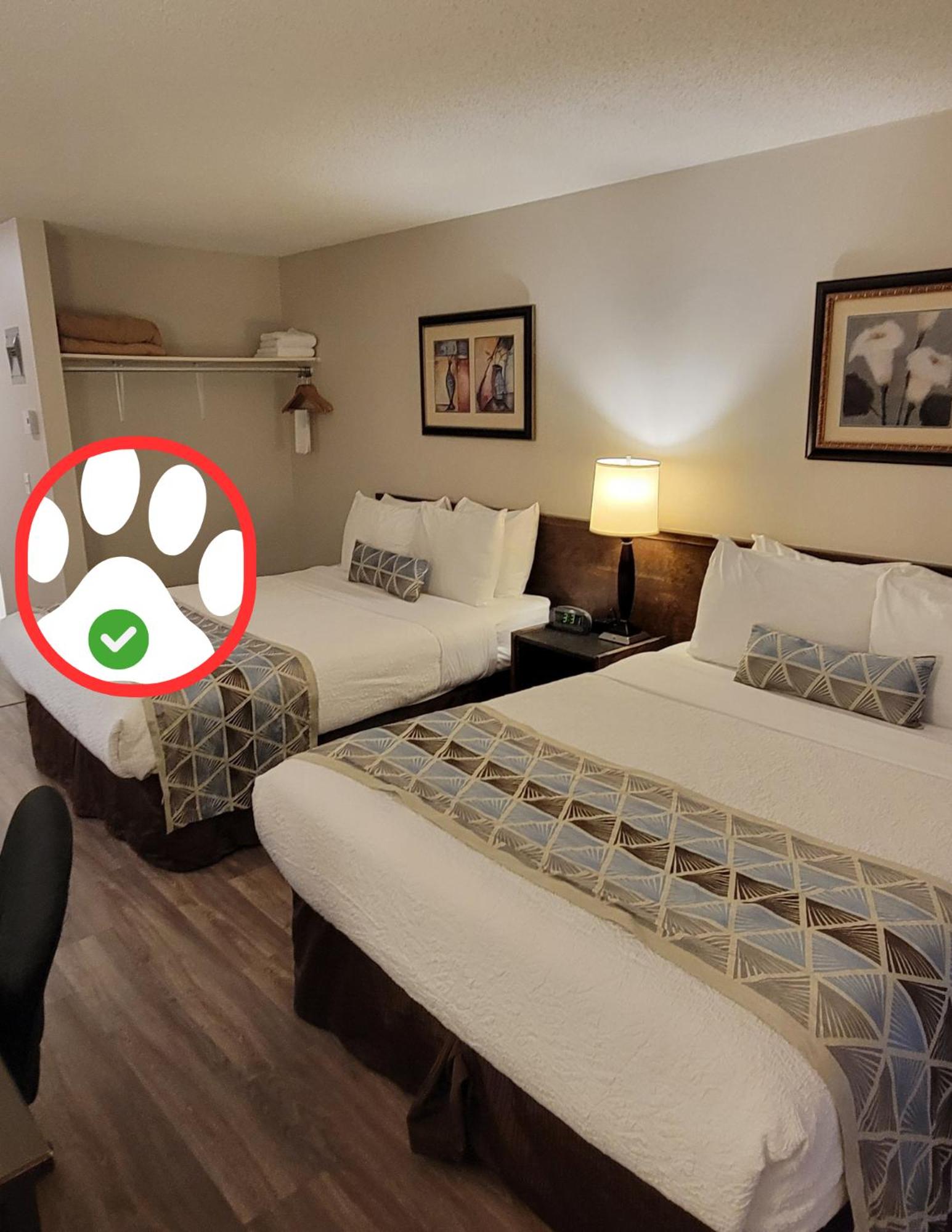 Standard Room, 2 Queens with Kitchenette (Pet Friendly) photo 1