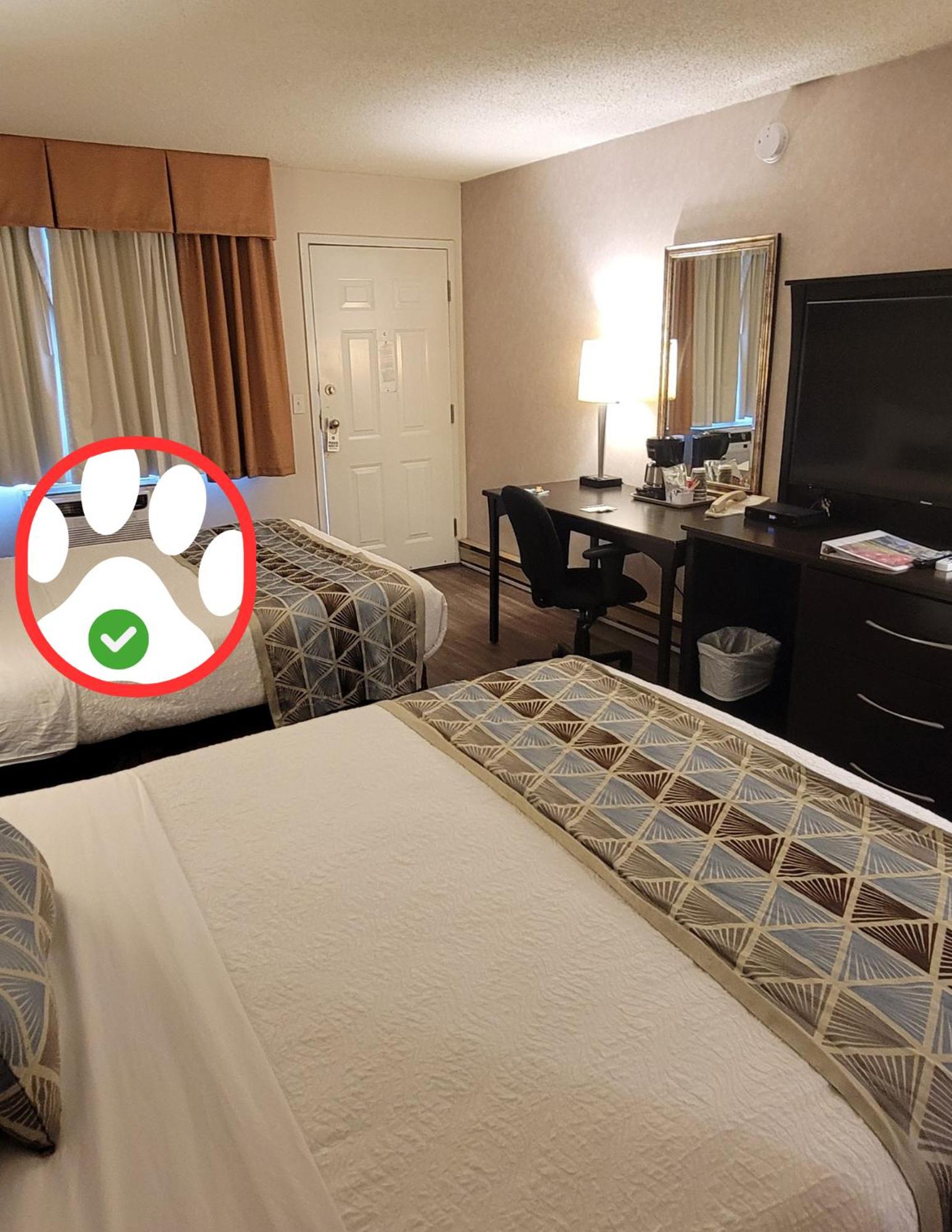 Standard Room, 2 Queens with Kitchenette (Pet Friendly) photo 3