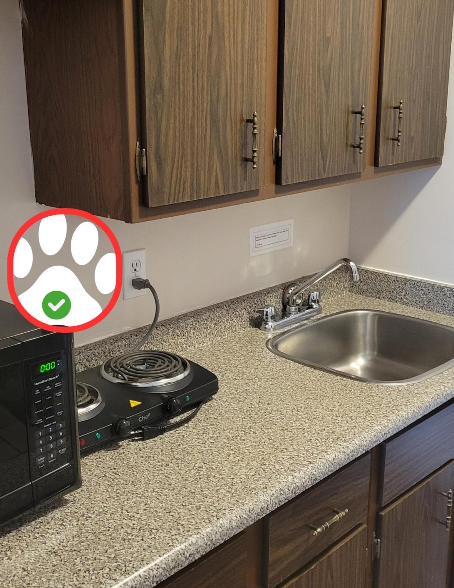 Standard Room, 2 Queens with Kitchenette (Pet Friendly) photo 2