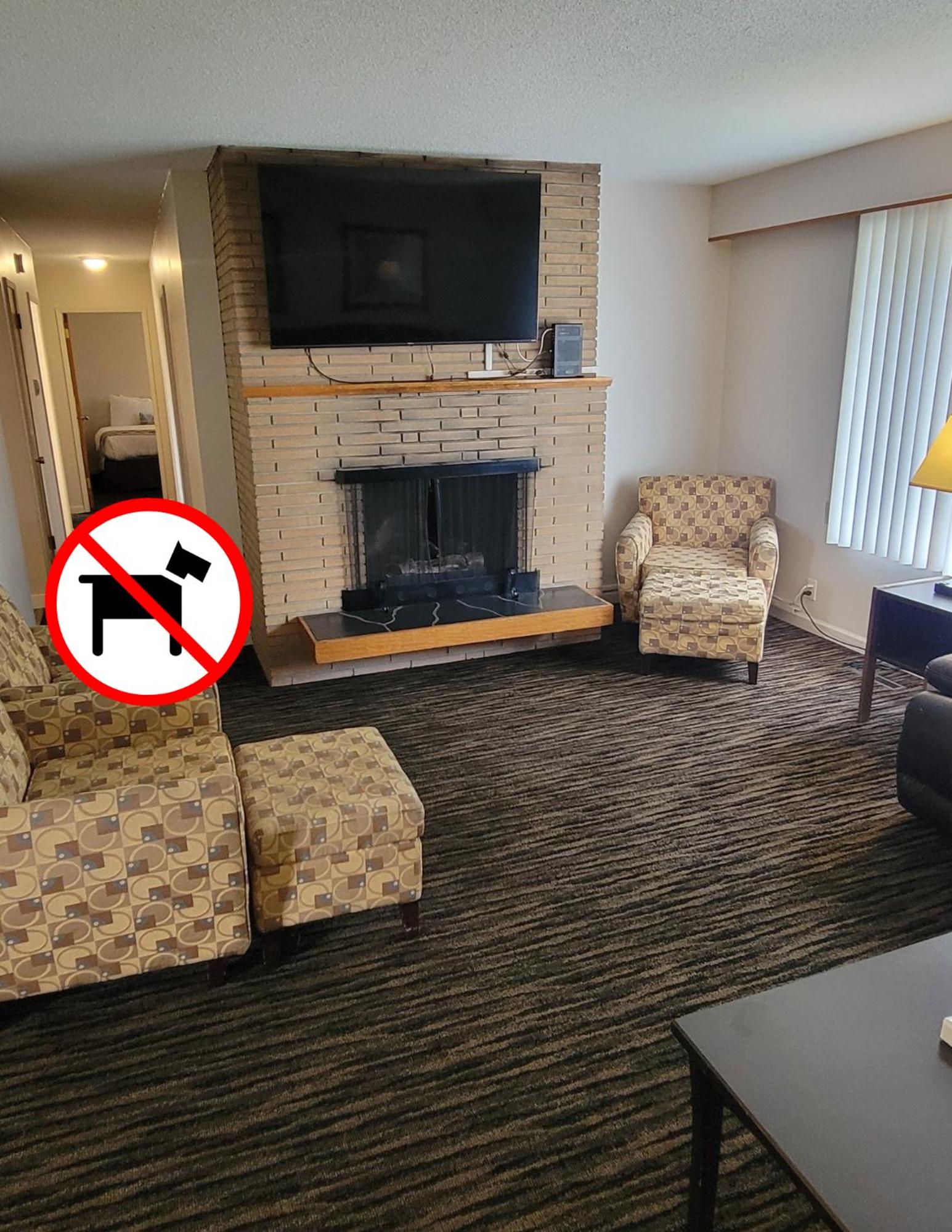 Apartment Suite (Non-Pet Friendly) - Photo 3