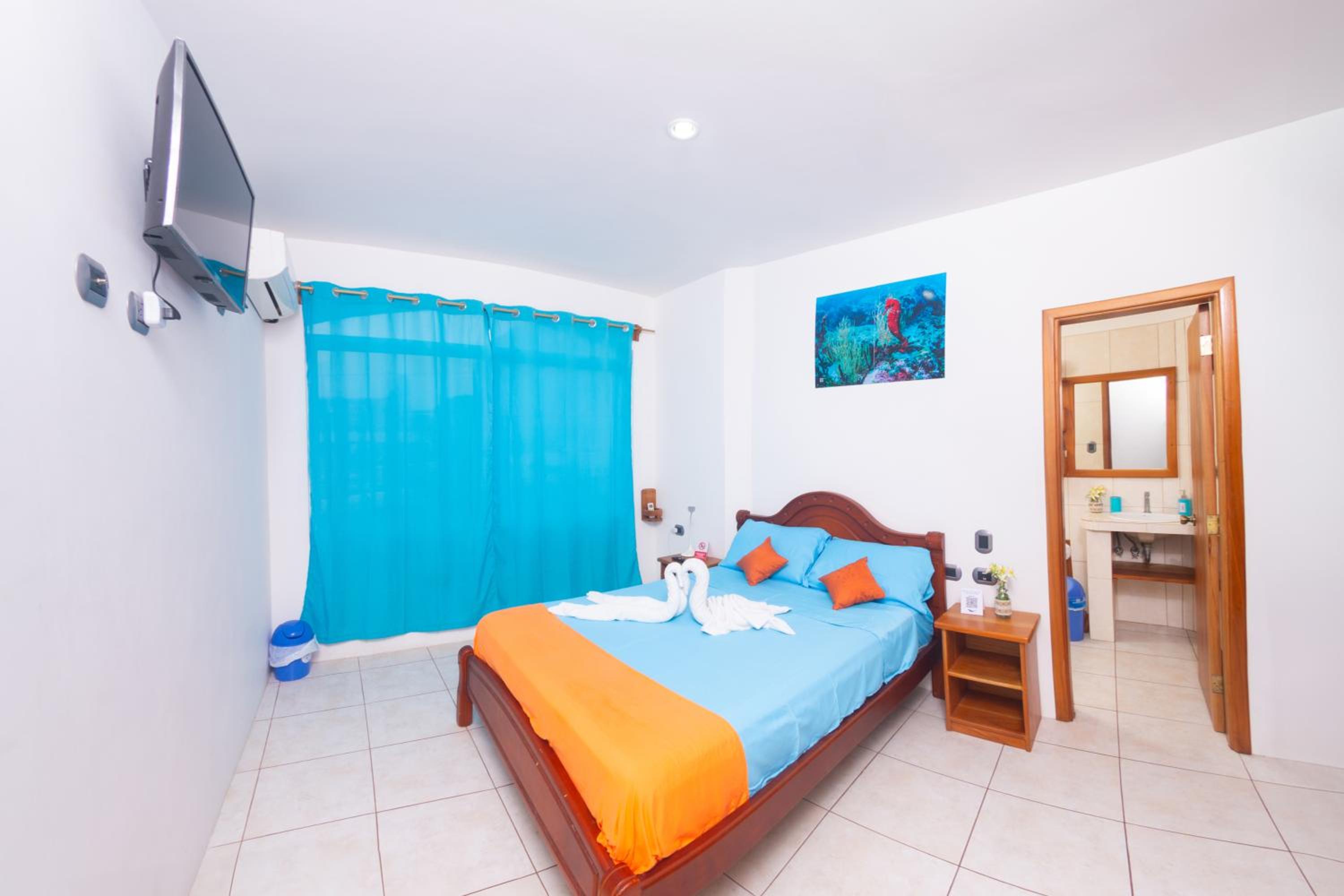 Superior Double Room photo 2