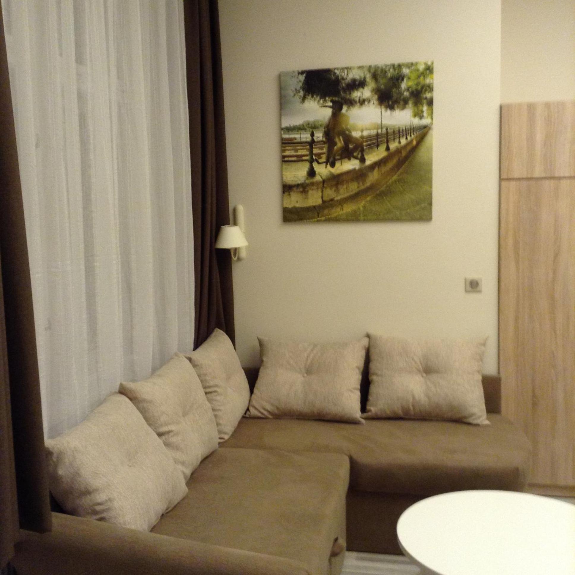 Superior Apartment - Photo 6