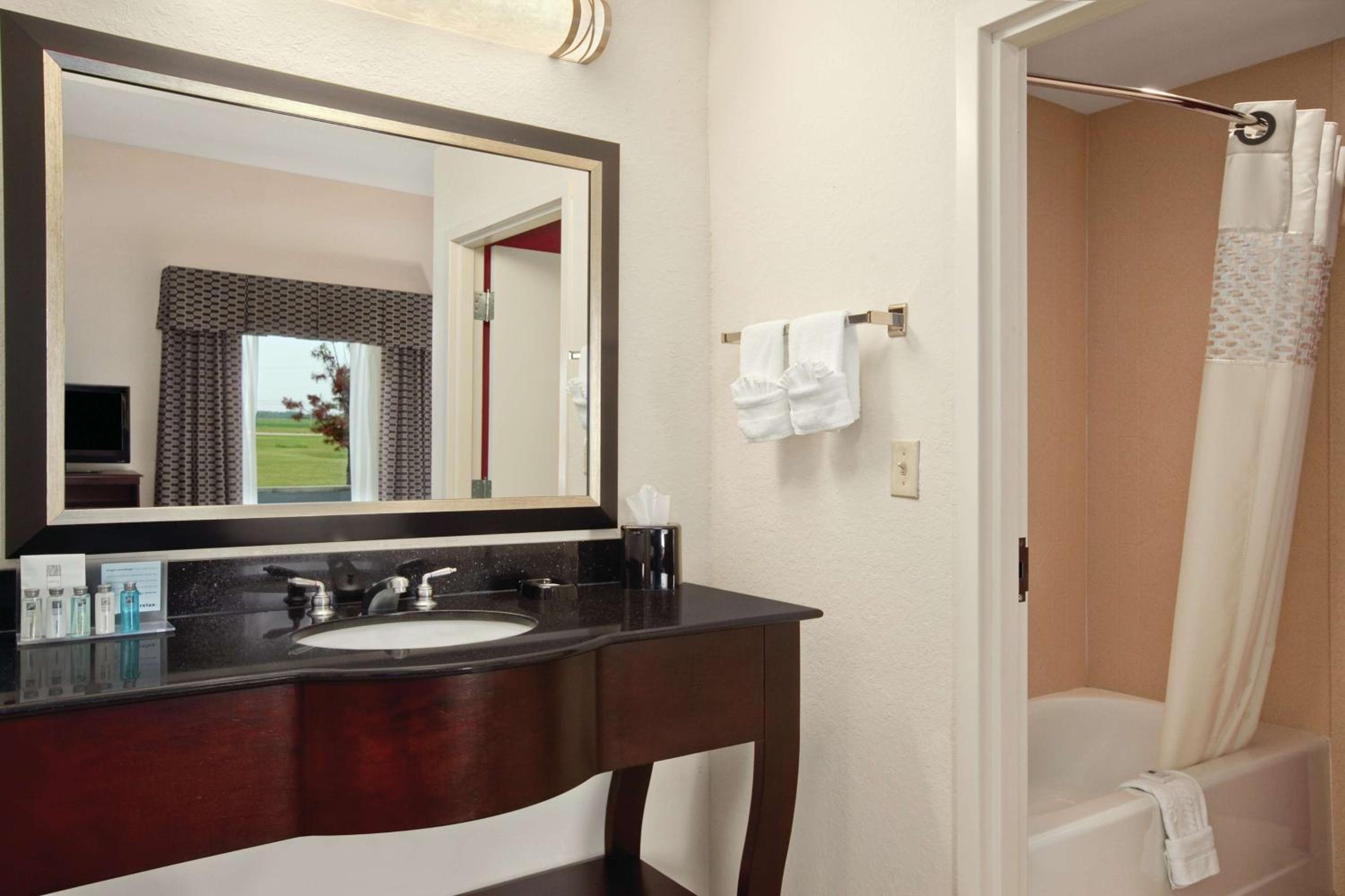 King Studio Suite With Sofa Bed - Non-Smoking - Photo 4