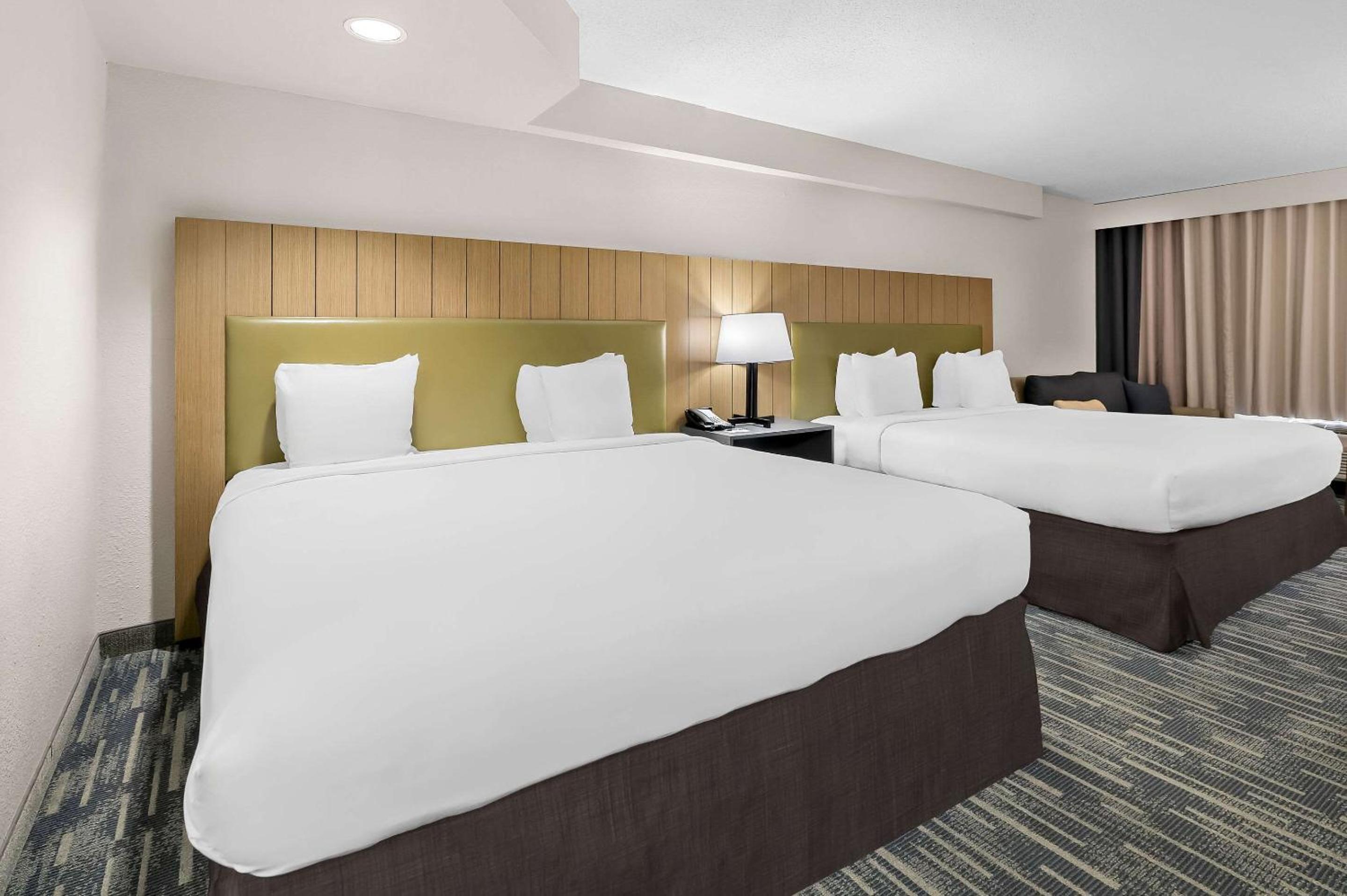 Quadruple Room with Two King Beds - Disability Access/Non Smoking - Photo 5