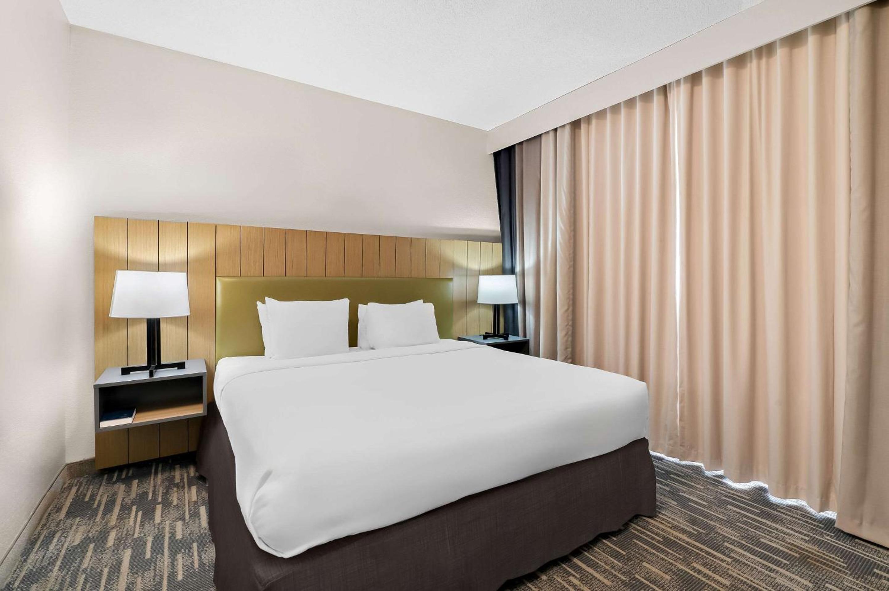 One-Bedroom King Suite - Non-Smoking - Photo 5