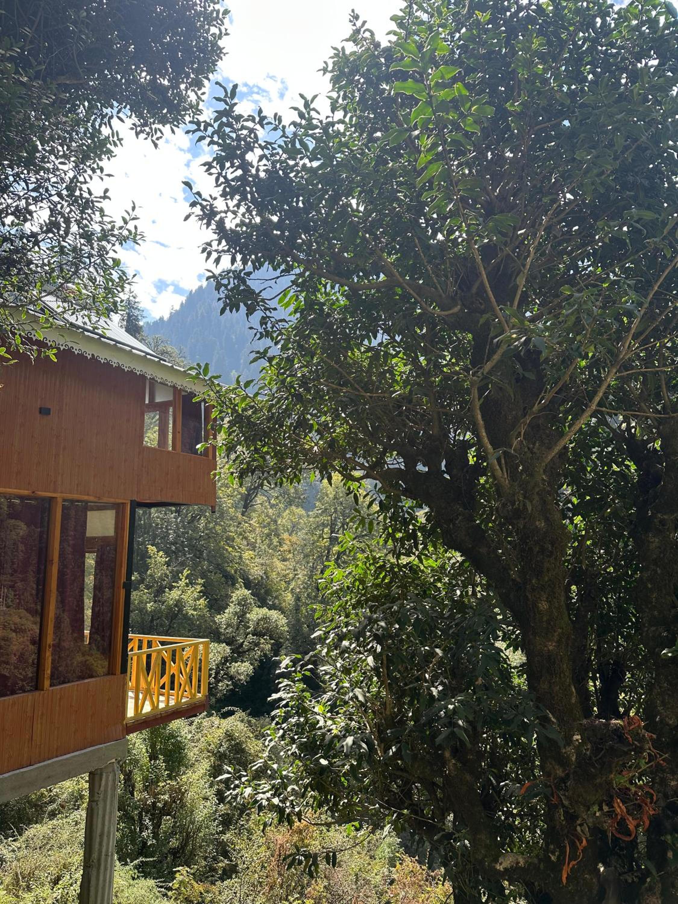 Two-Bedroom Chalet photo 2
