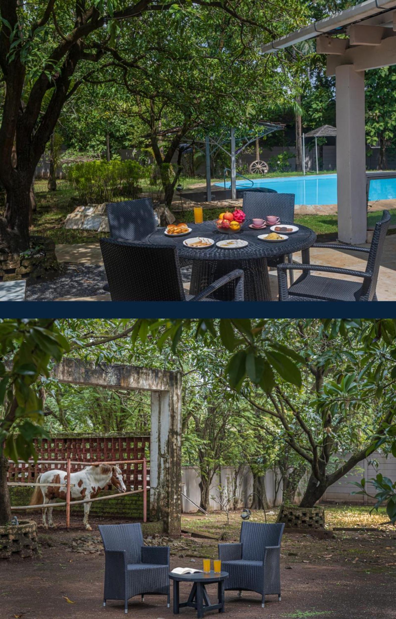 Villa photo 3