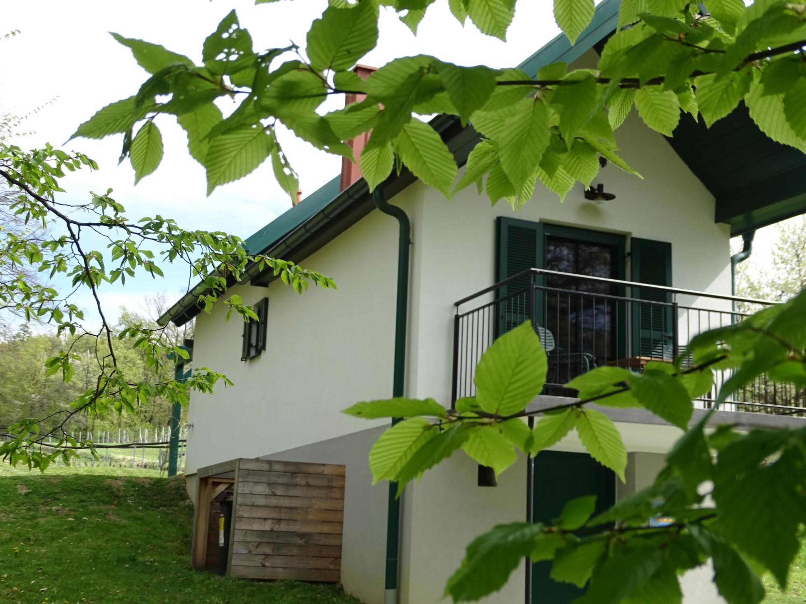 One-Bedroom House photo 2